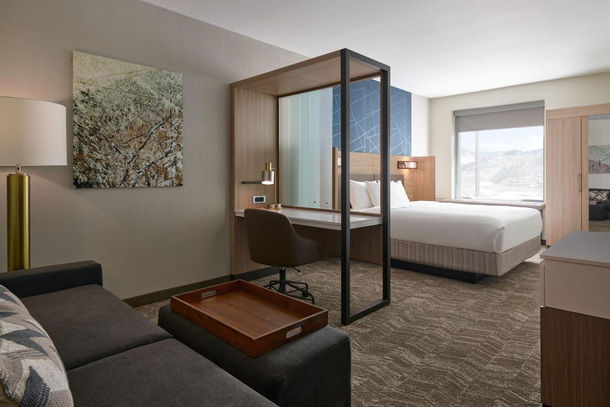 King Room with Sofa Bed and Roll-in Shower - Mobility Accessible