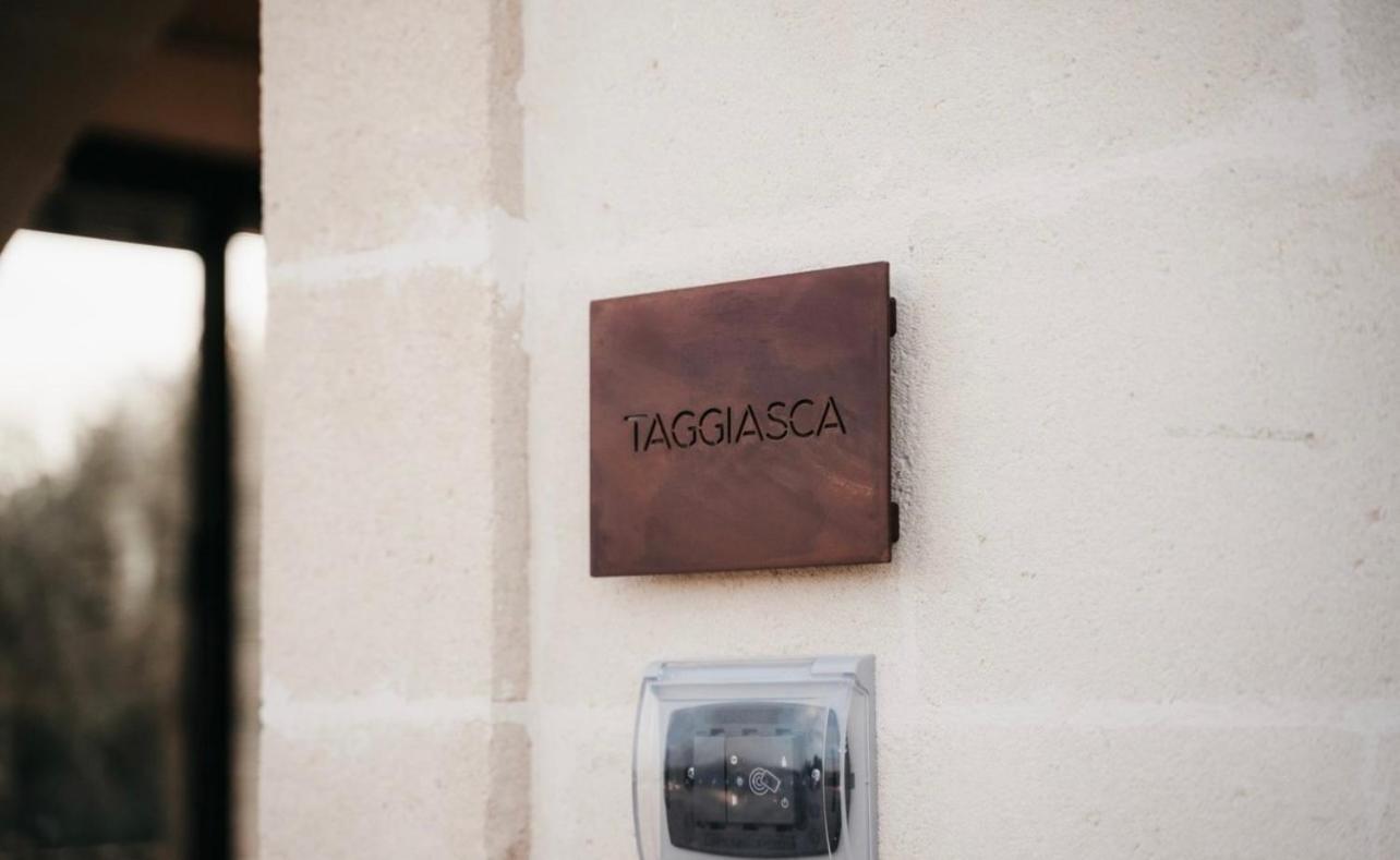 Junior Suite,1639526083:JPEG
