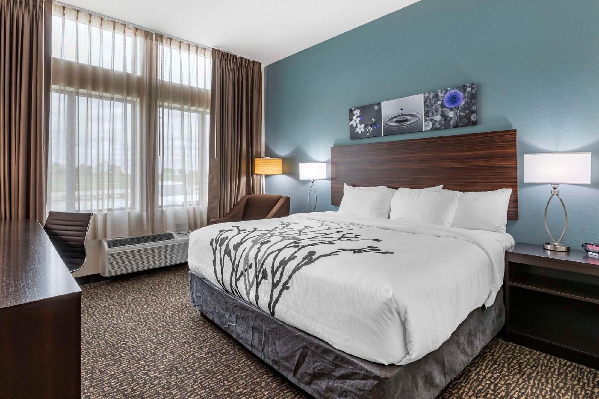 1 King Bed Non Smoking,1639522083:JPEG