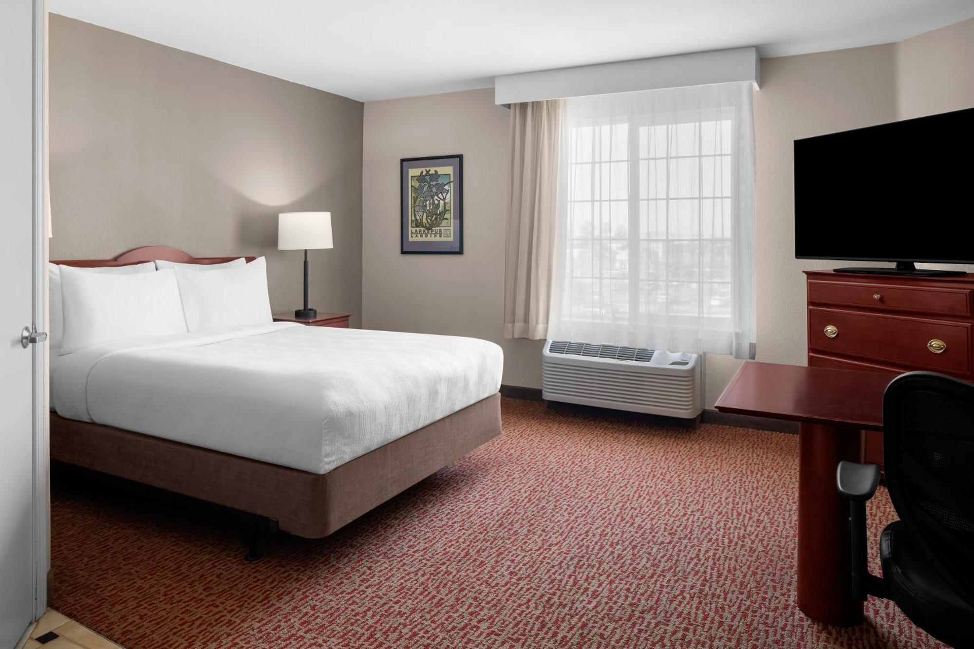 Studio Suite Queen Bed