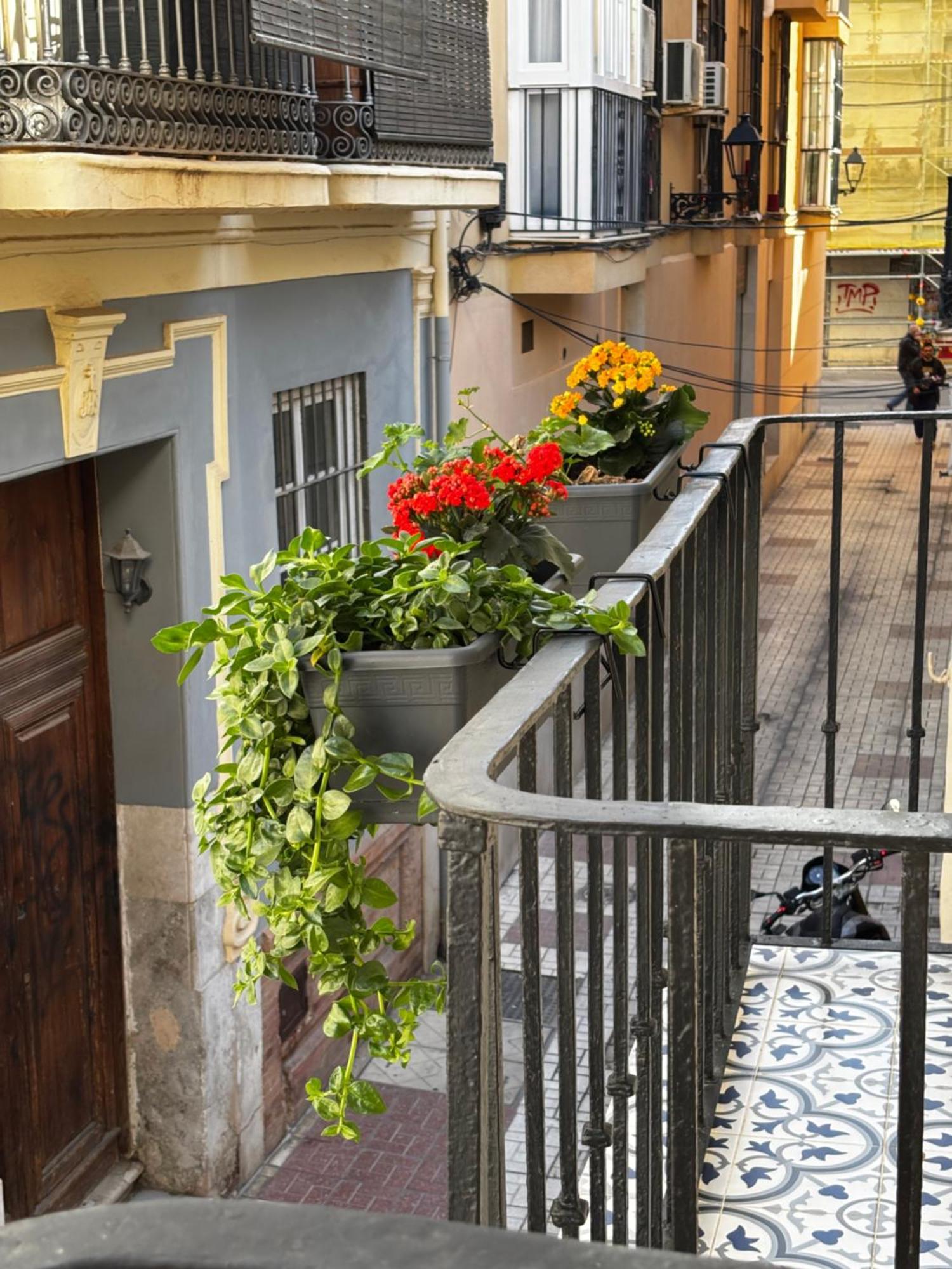 Double Room Balcony