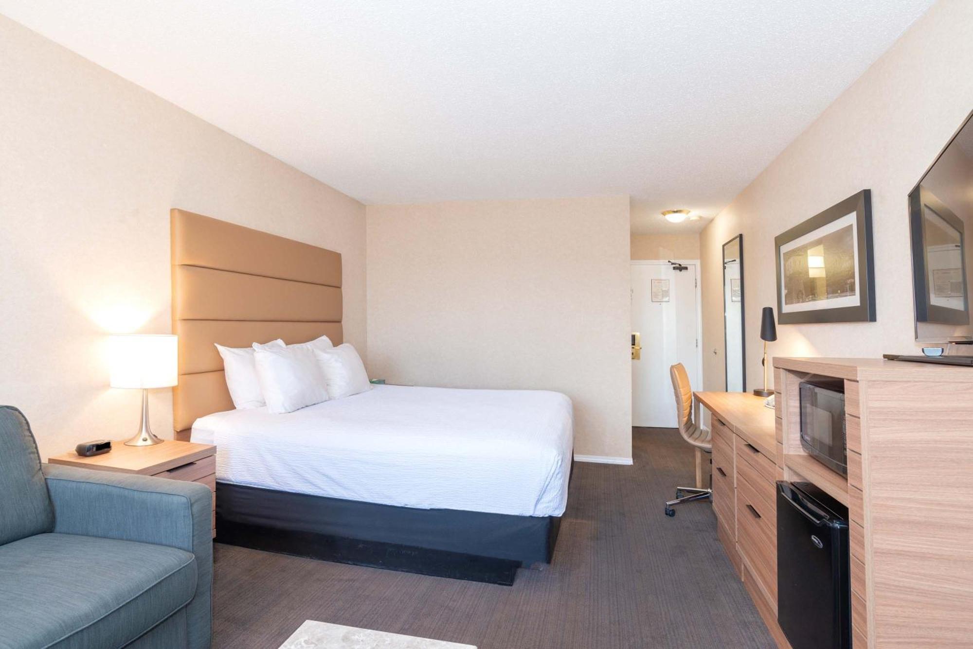 Standard Room, 1 King Bed, Sofa Bed