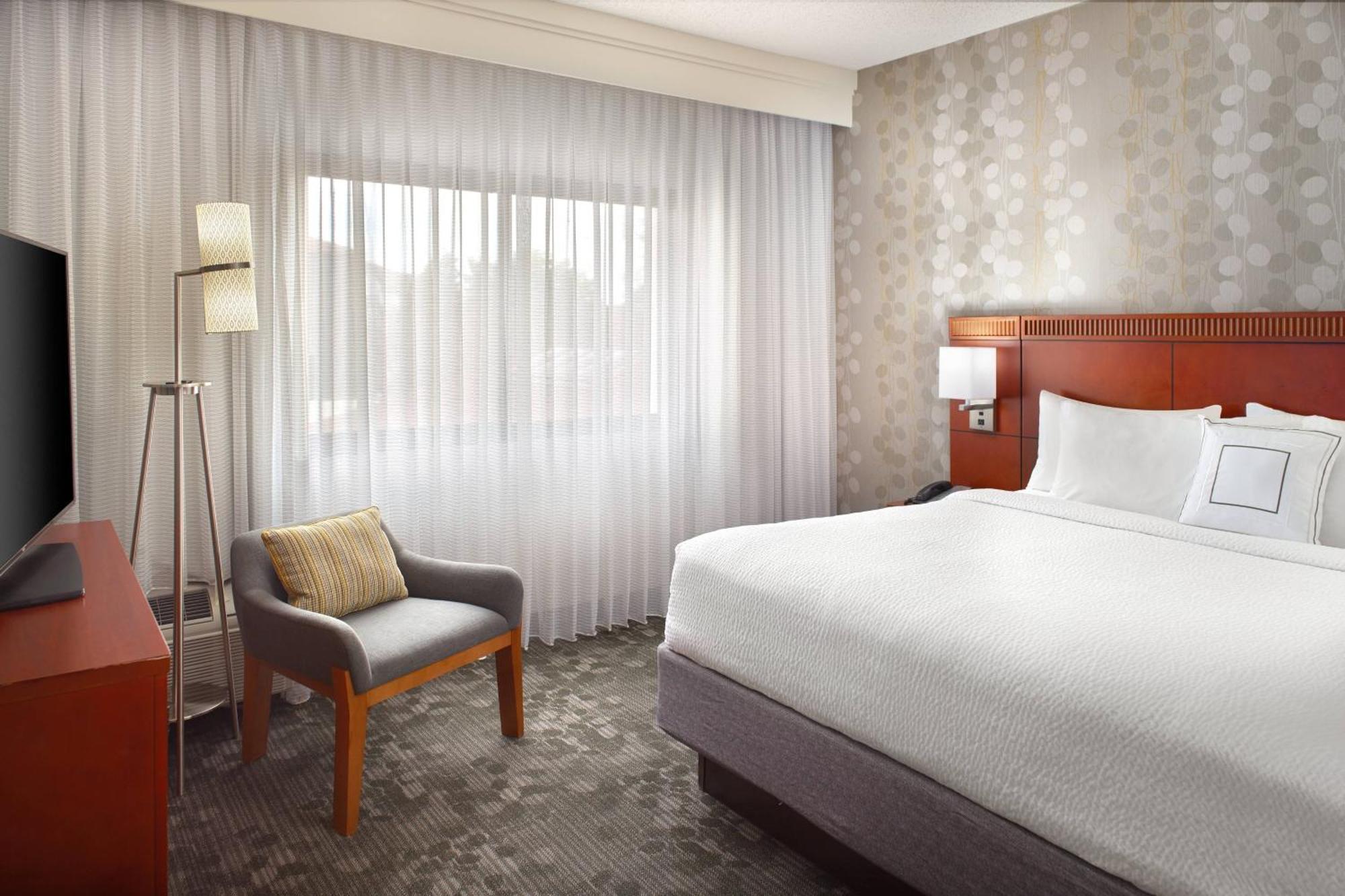 Suite, 1 King, Sofa bed