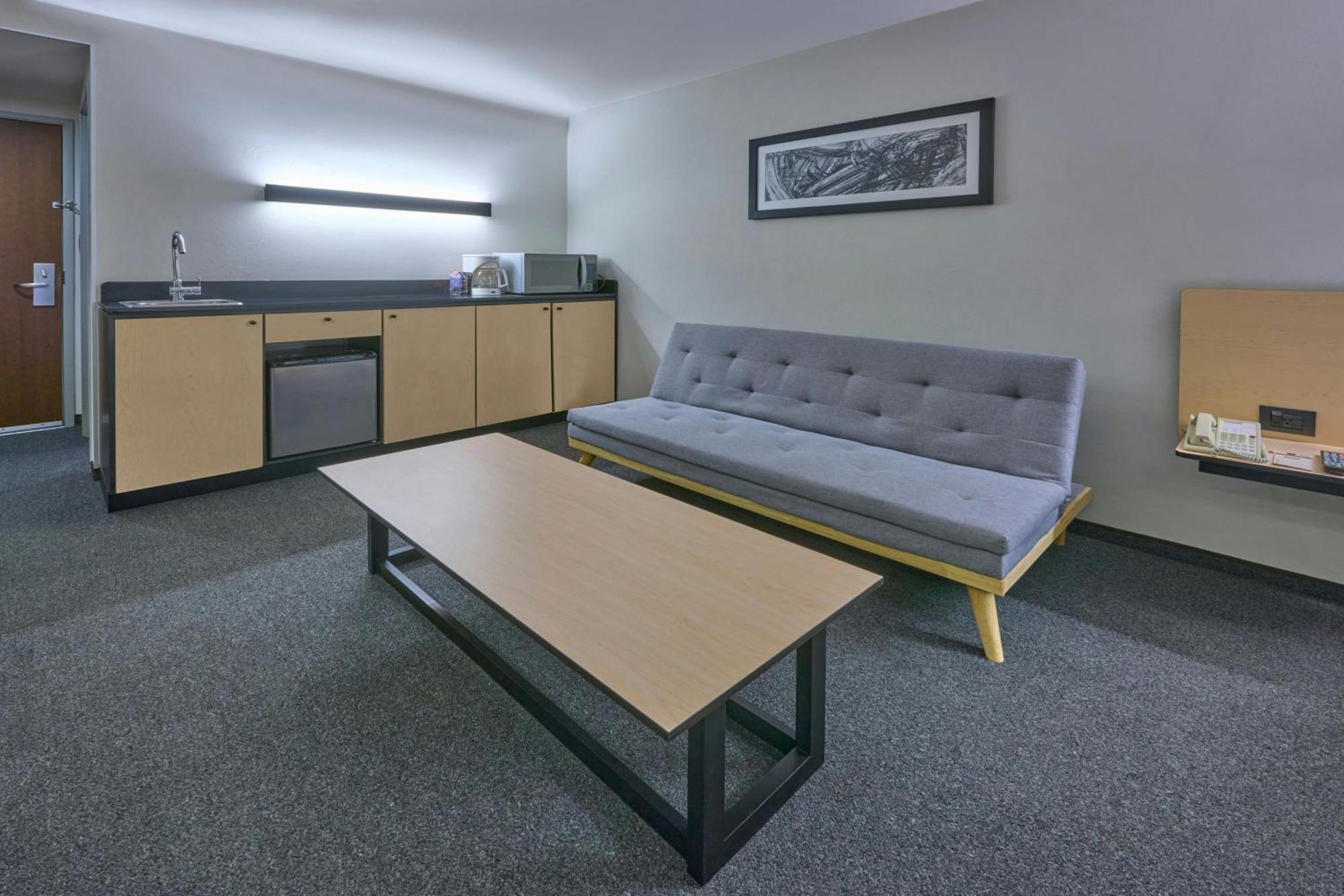 Superior Queen Room Sofa Bed