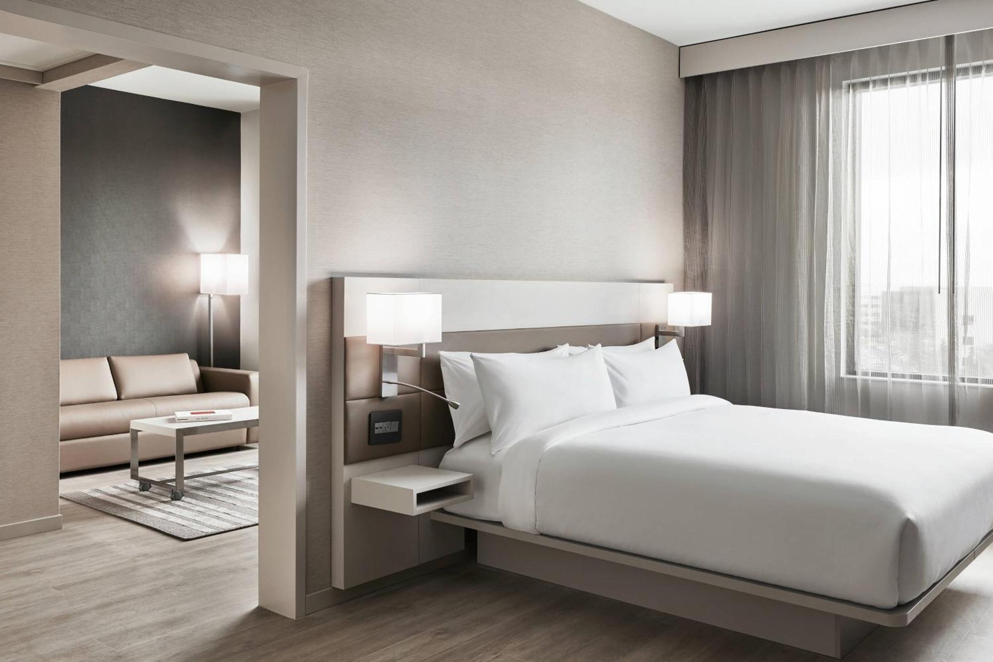 1 Bedroom Suite 1 King Sofa bed