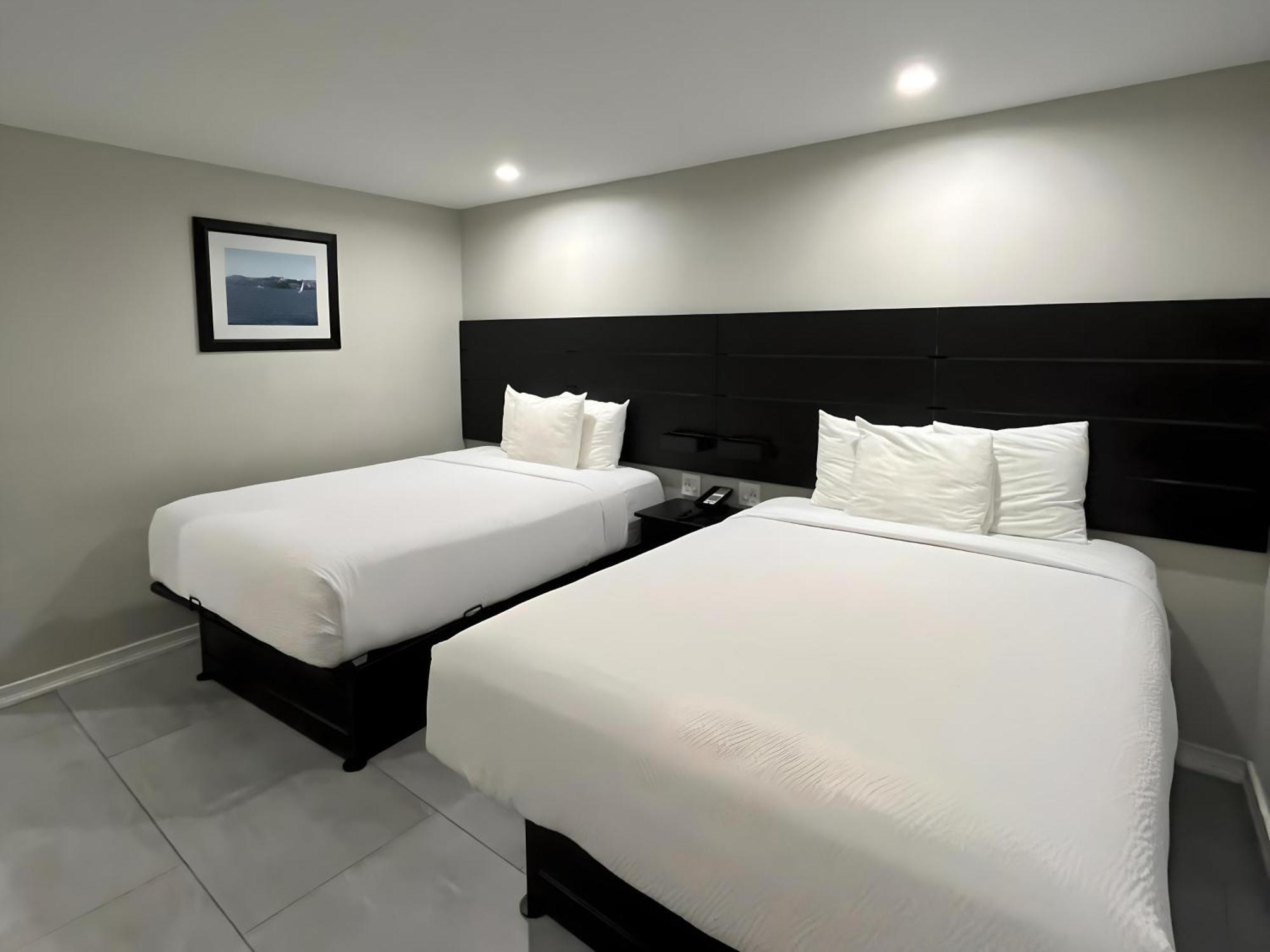 Queen Room Two Queen Beds Pet-friendly