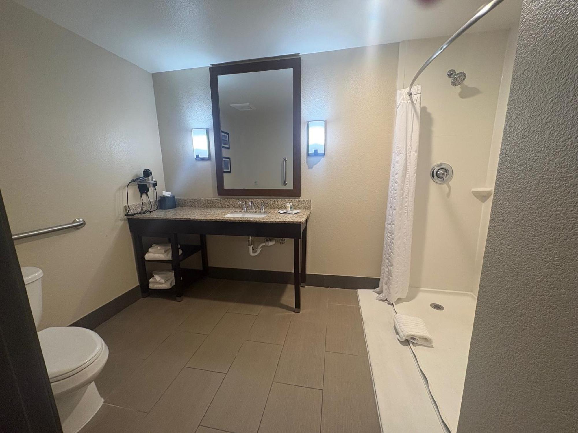 King Suite Roll Shower Accessible or Non-Smoking