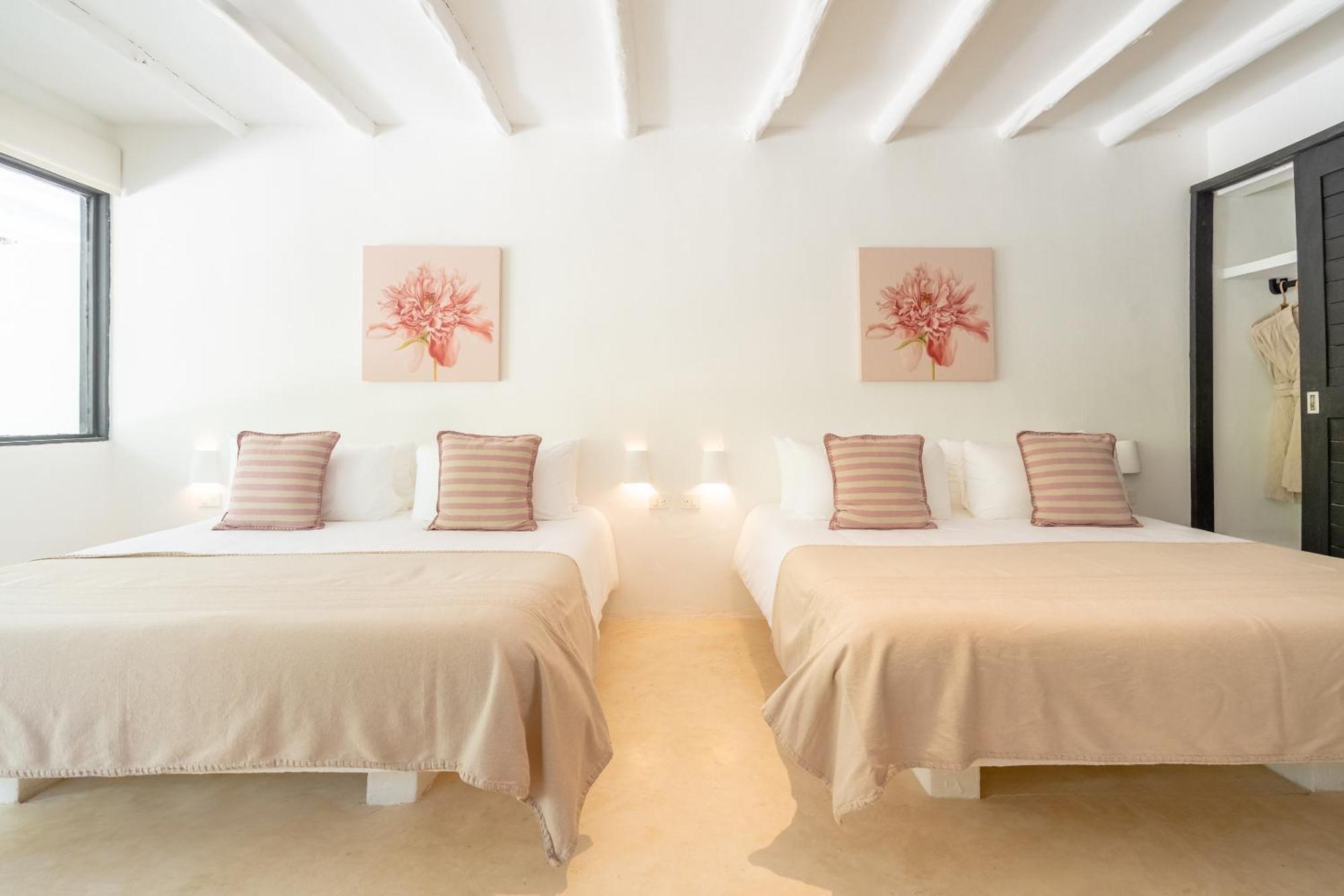 Suite Estándar