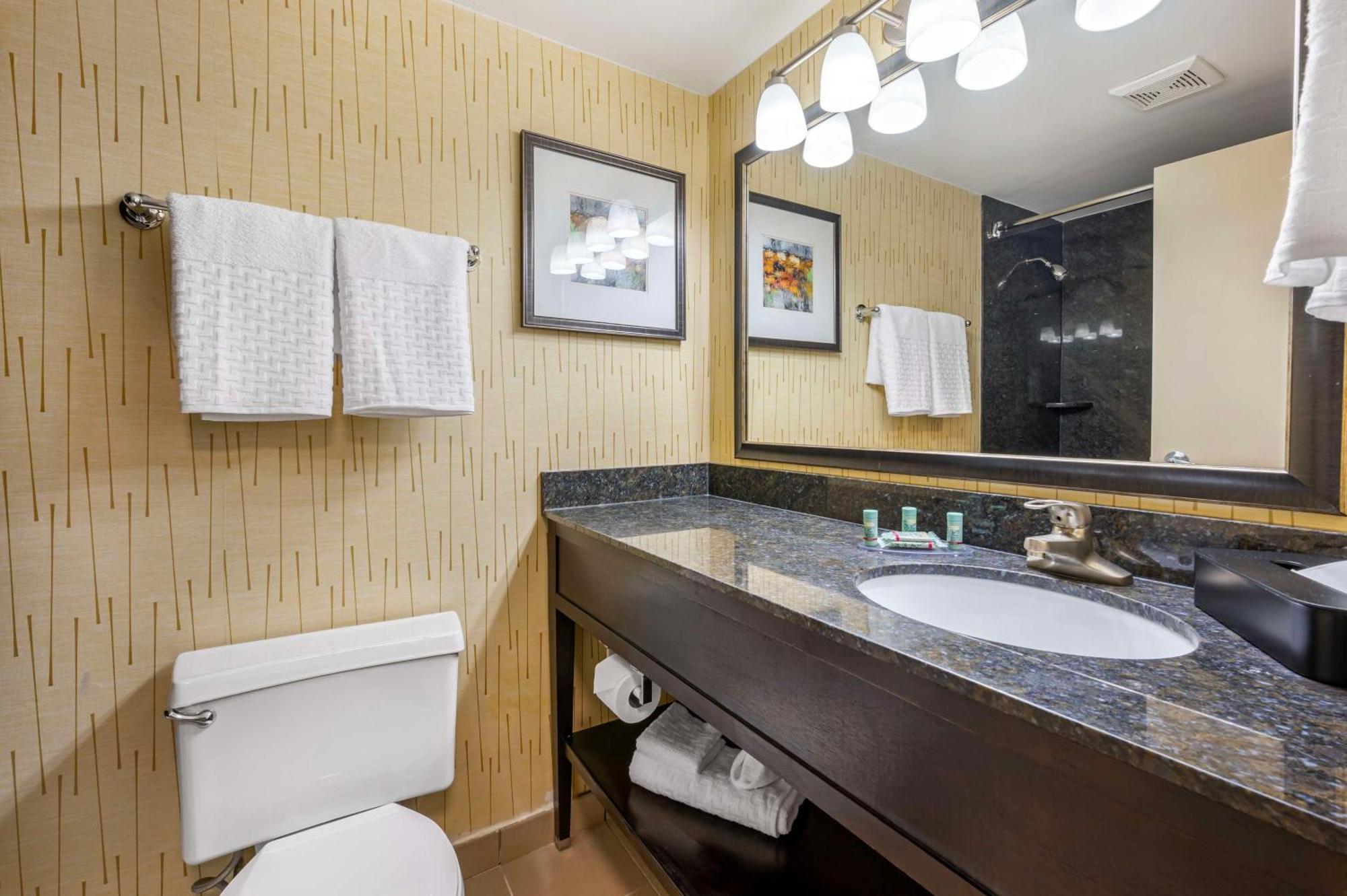 Double Room with Two Double Beds