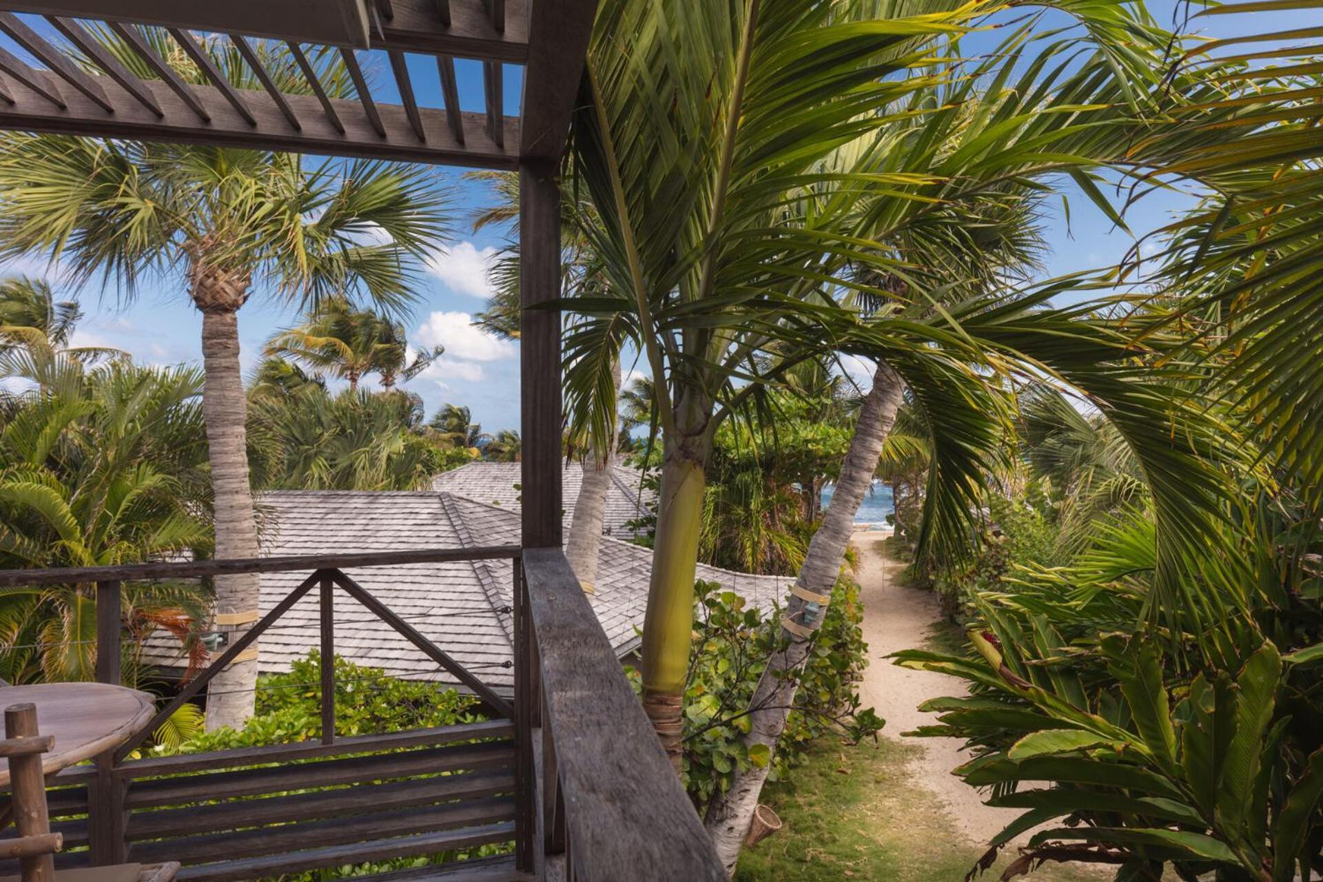 Tropical Room