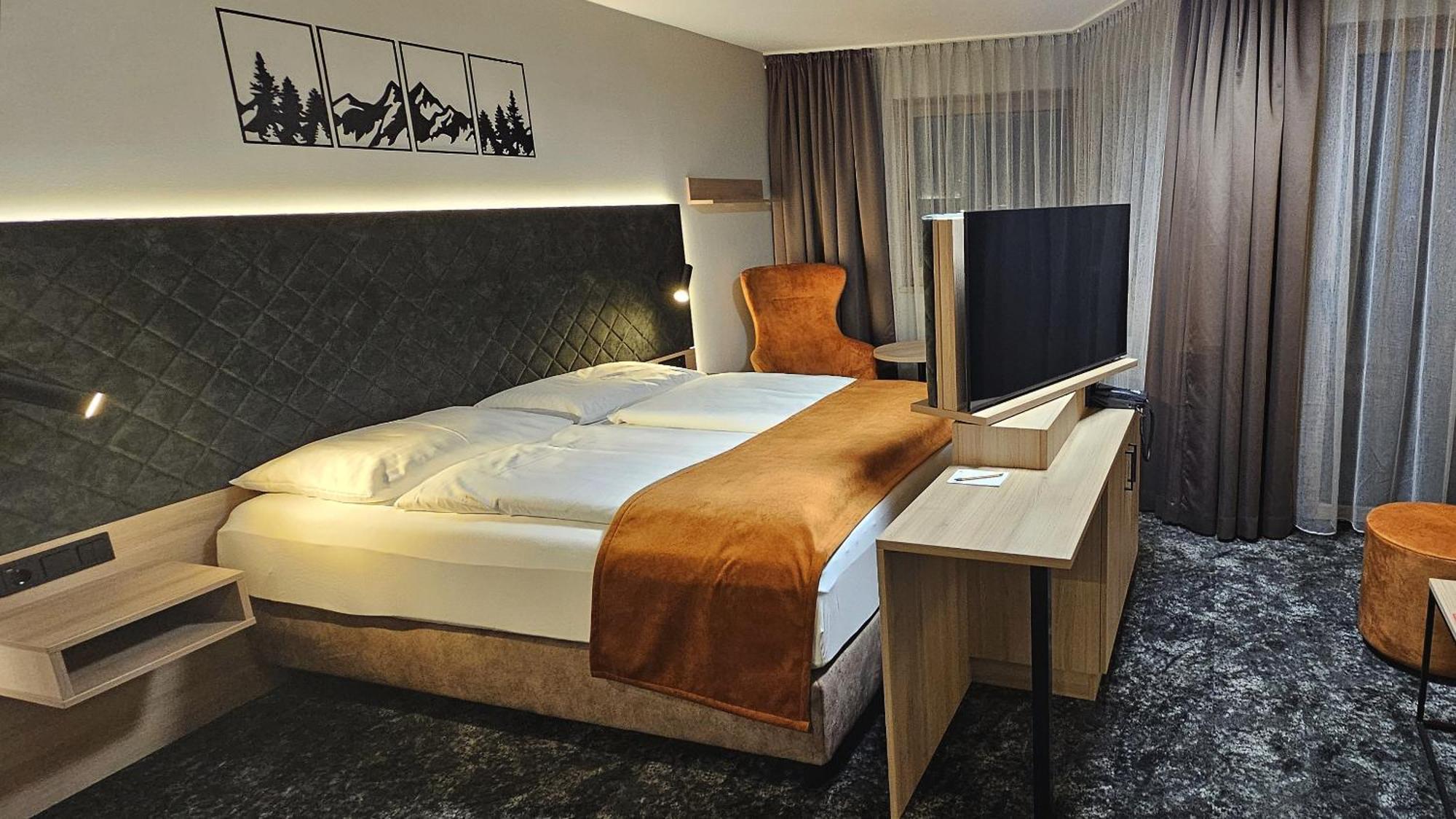 Deluxe Double or Twin Room Mountain View