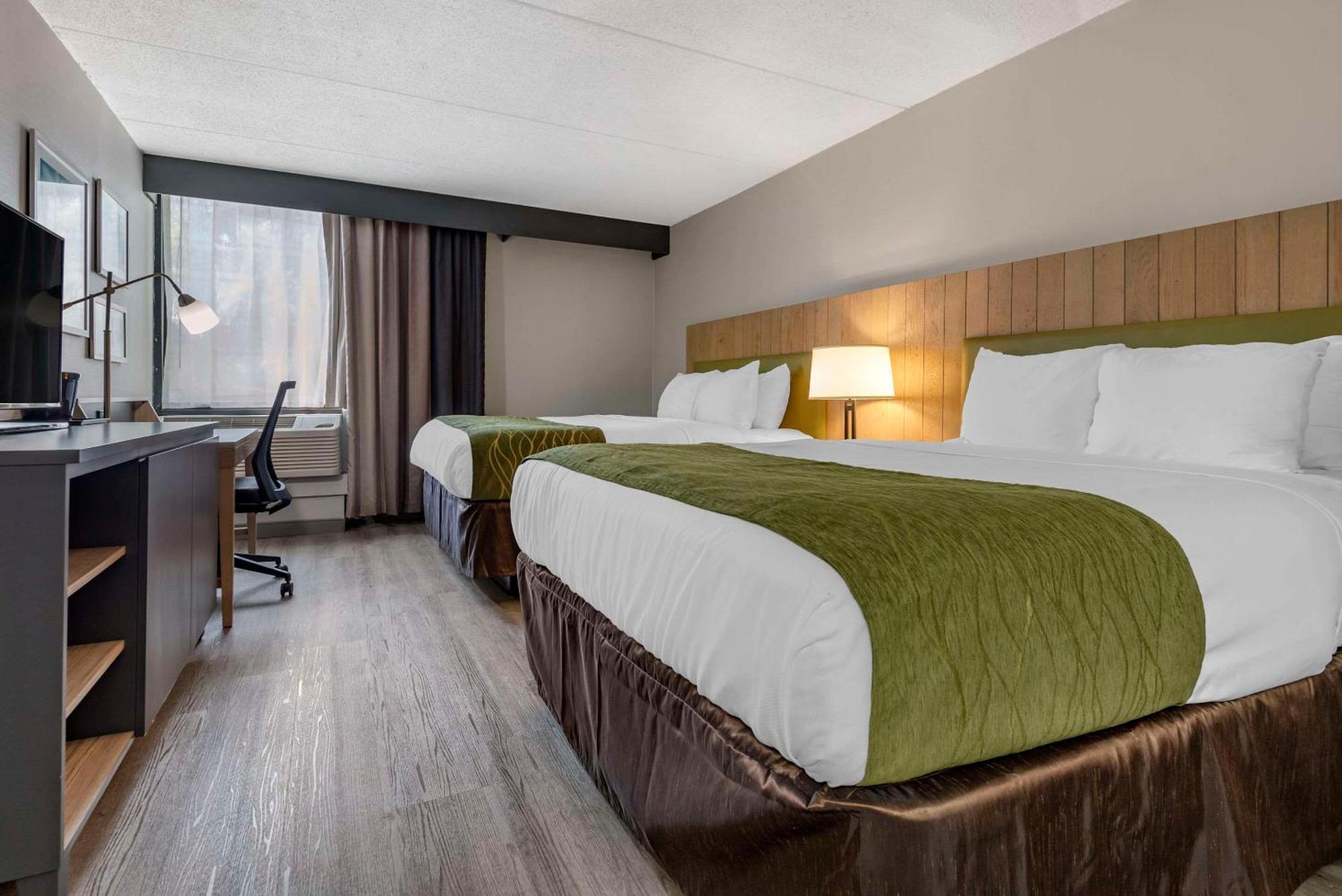 Standard Queen Room Two Queen Beds Non Smoking