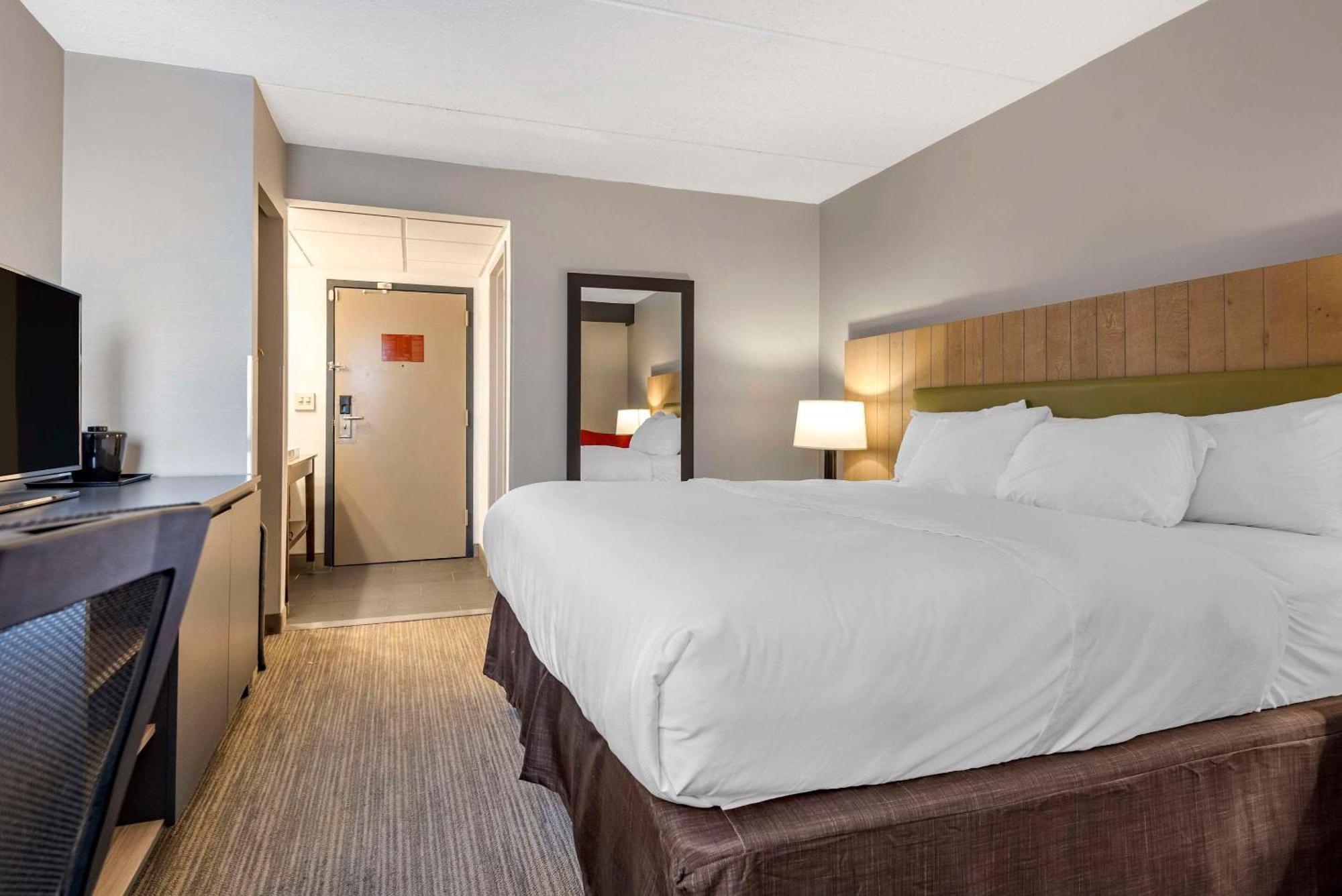 King Room Accessible or Non Smoking