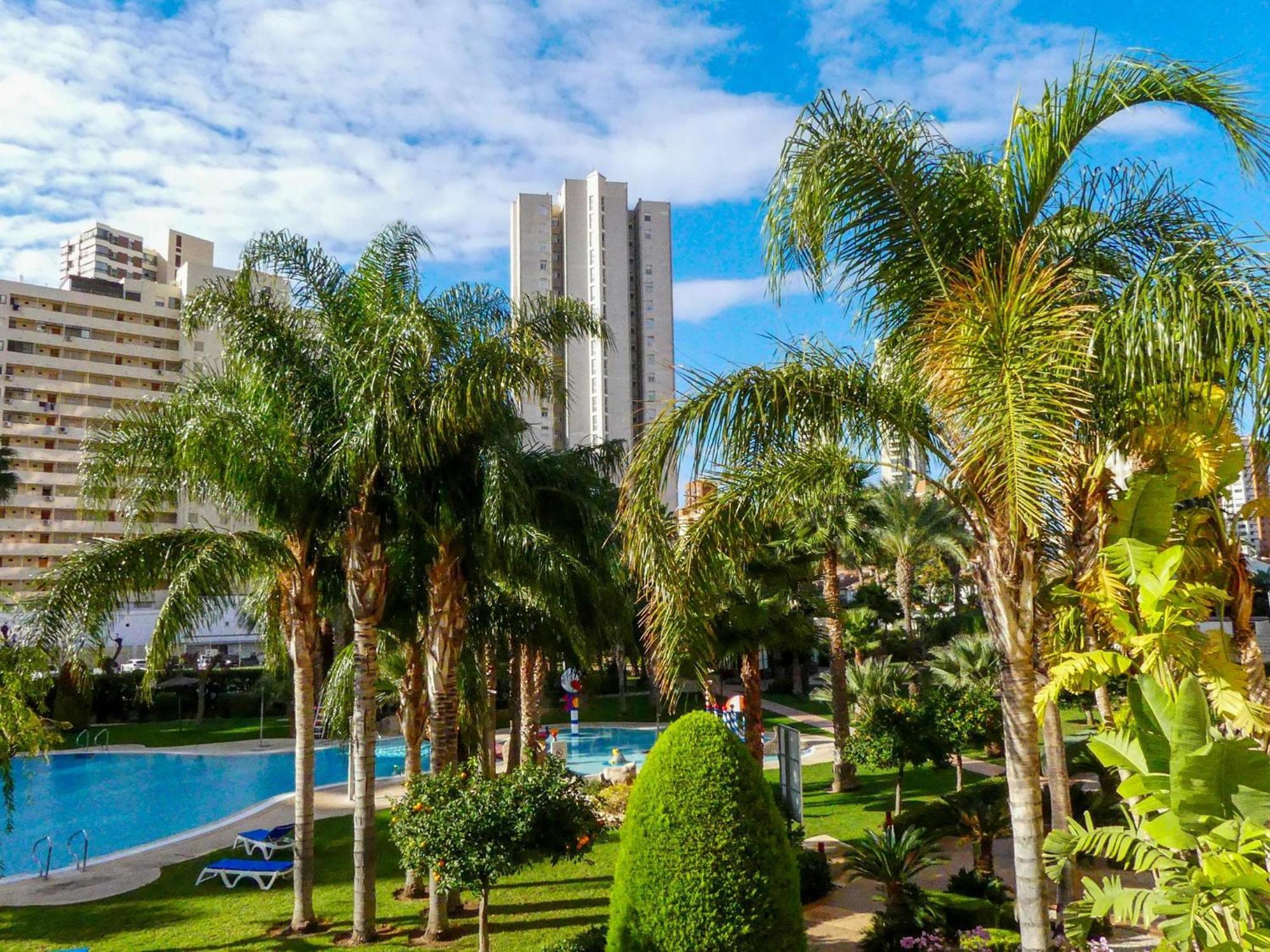 Apartment Garden View