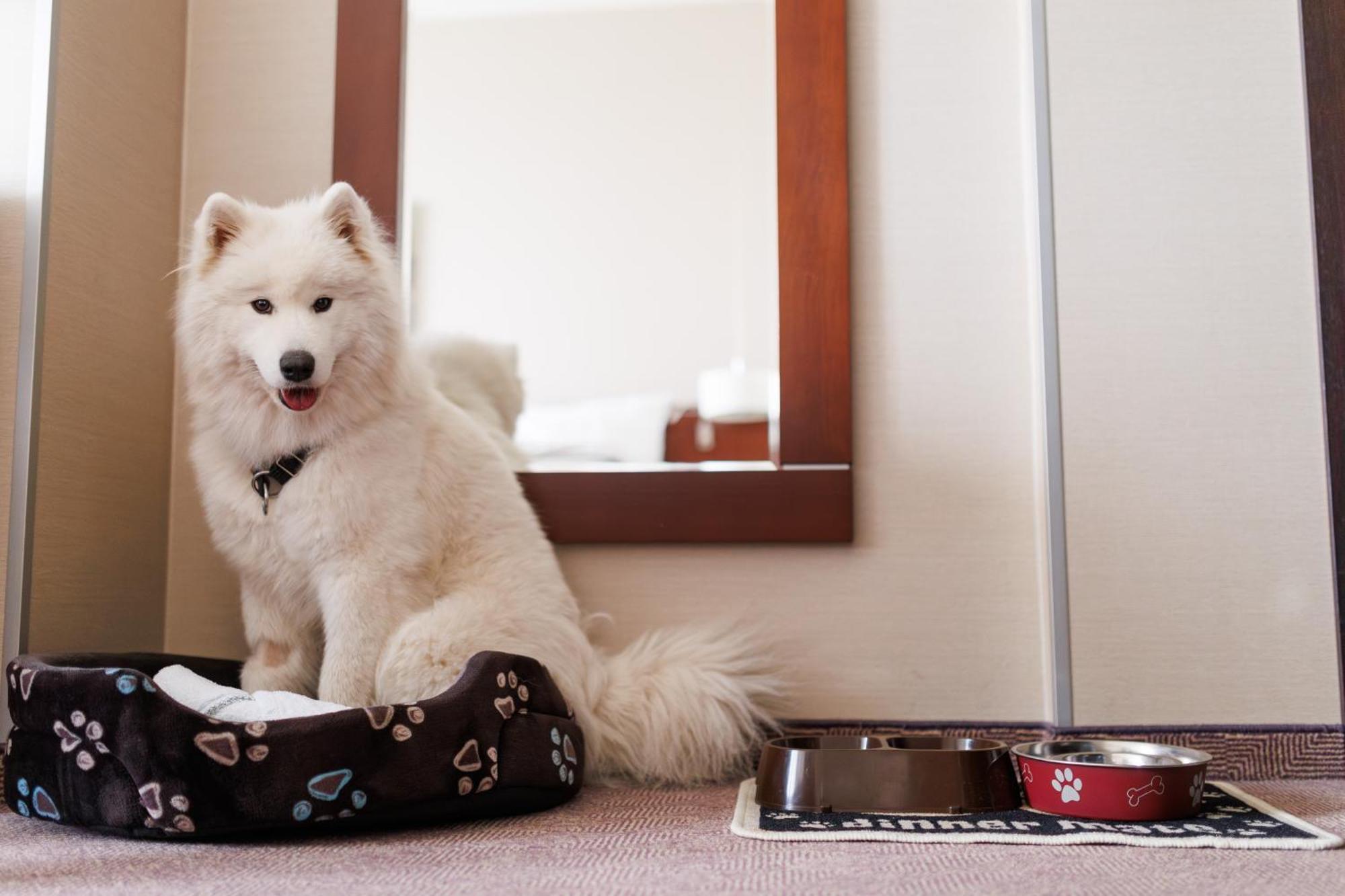 Family Room,1649884595:JPEG