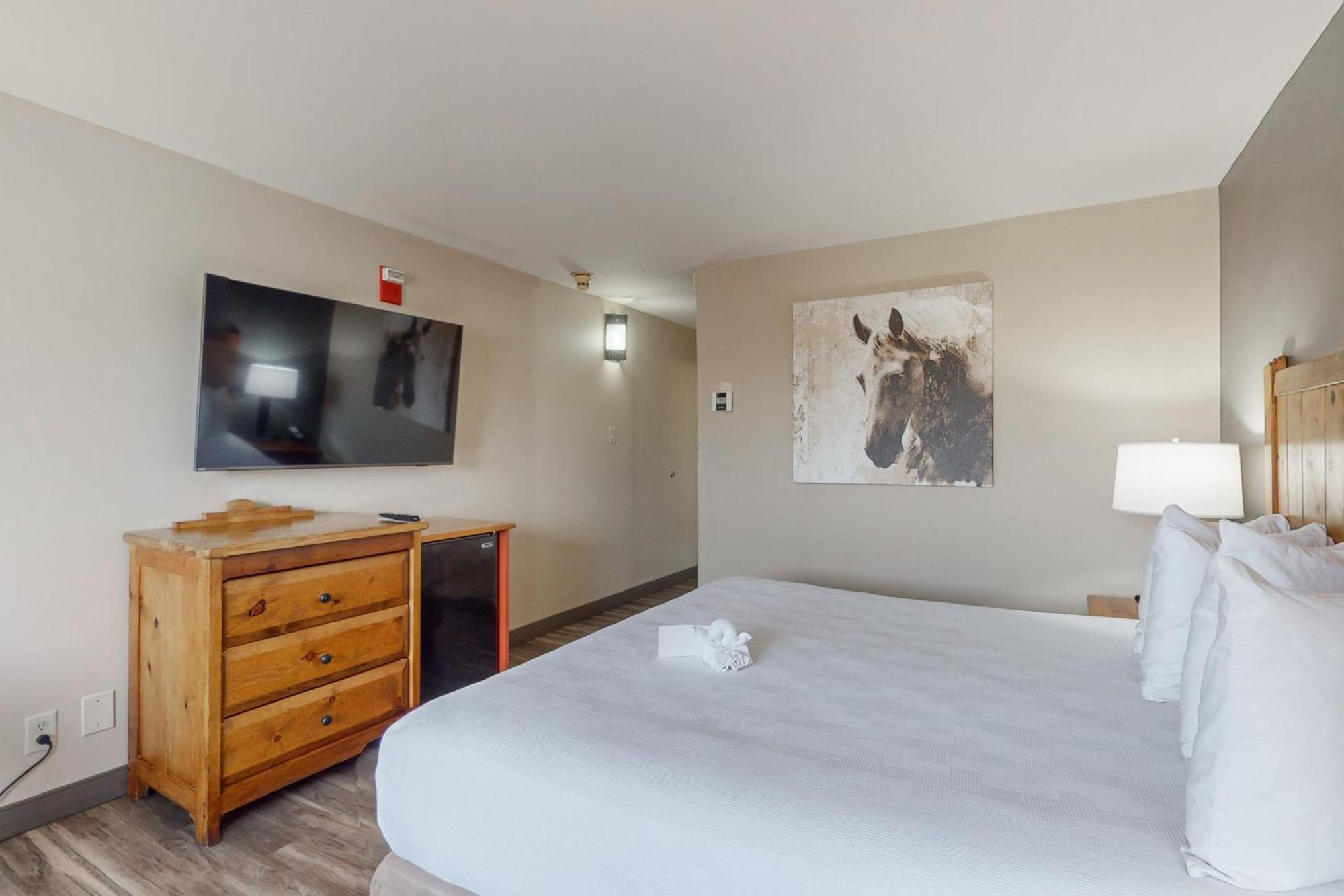 King Room Non-Smoking or Pet Friendly