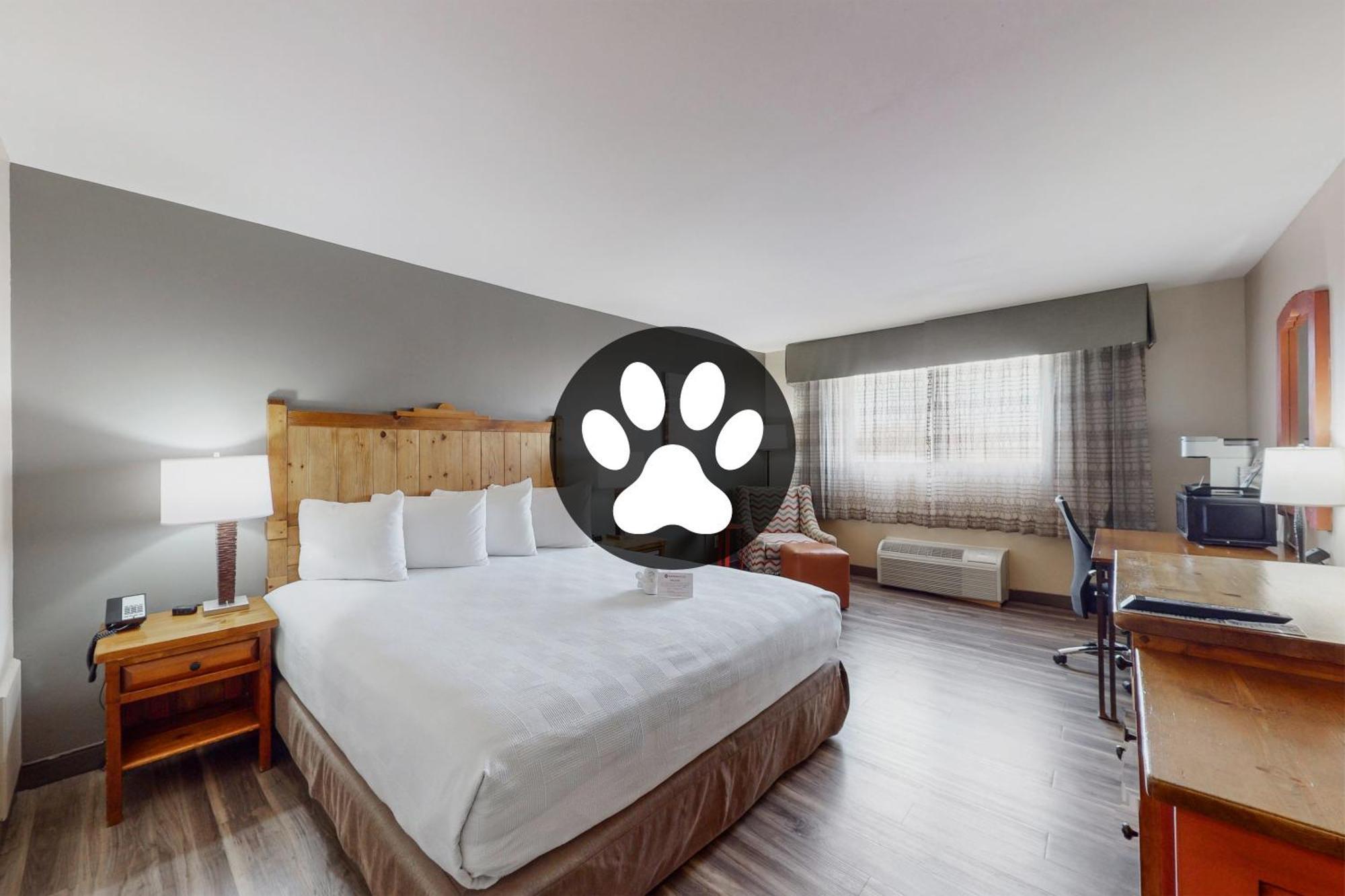 King Room Non-Smoking or Pet Friendly