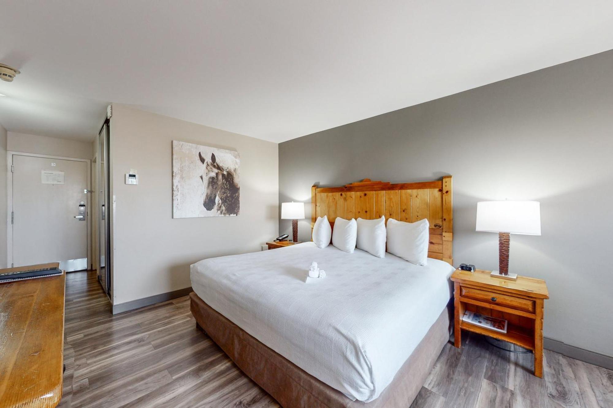 King Room Non-Smoking or Pet Friendly