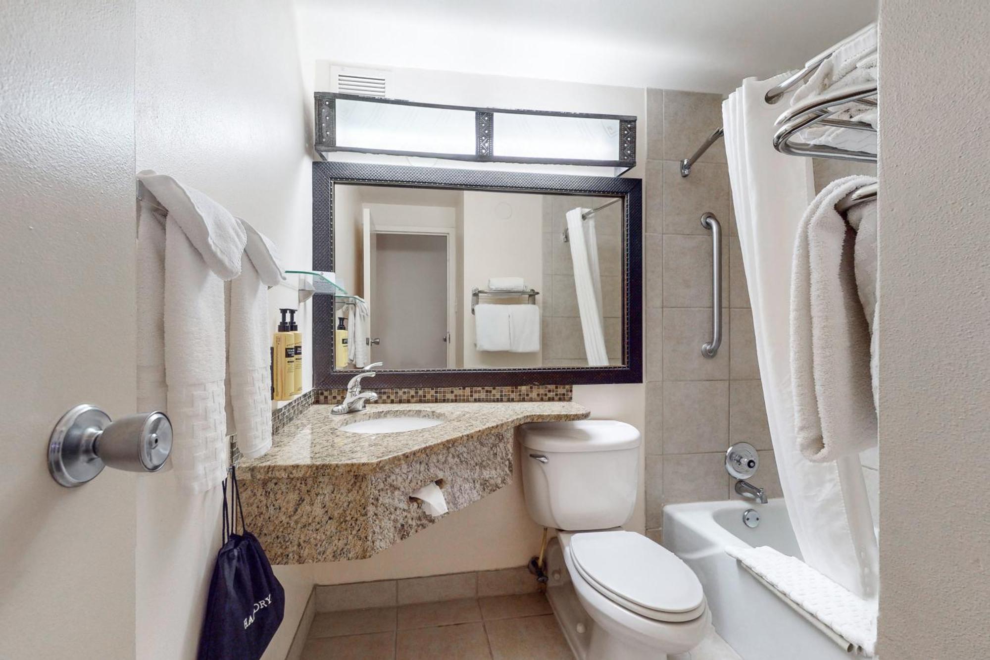King Room Non-Smoking or Pet Friendly