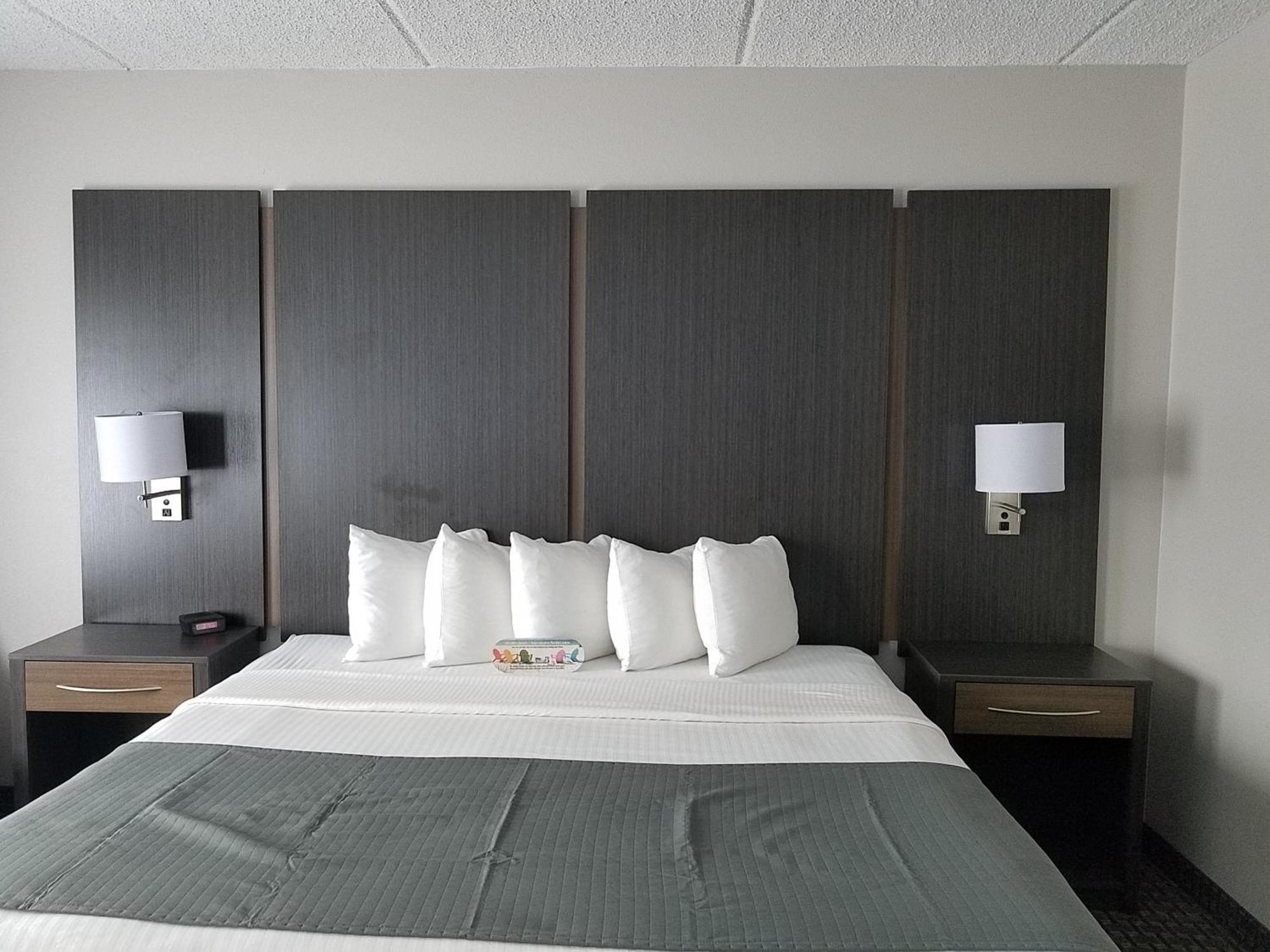 King Room