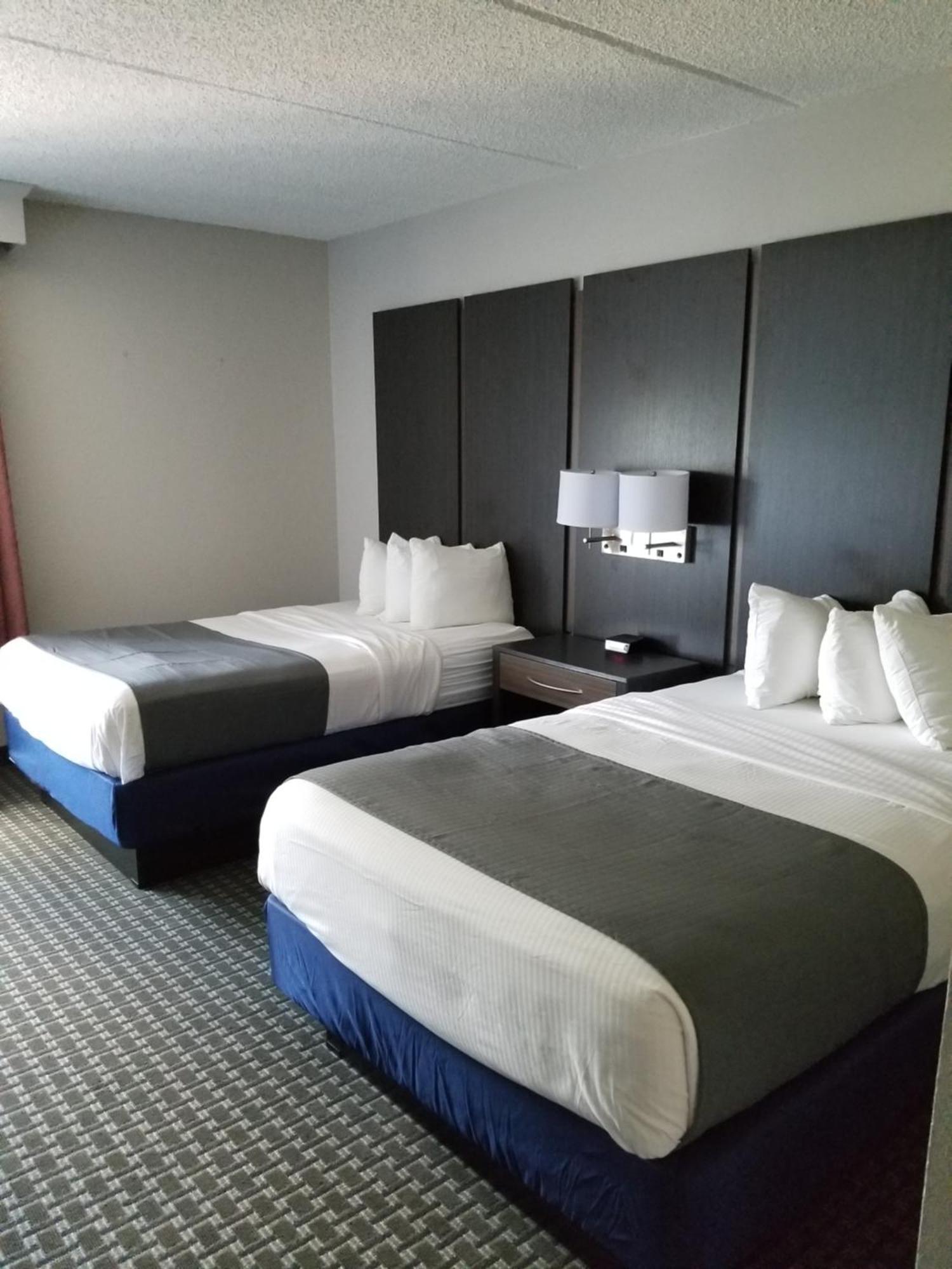 Double Room Two Double Beds