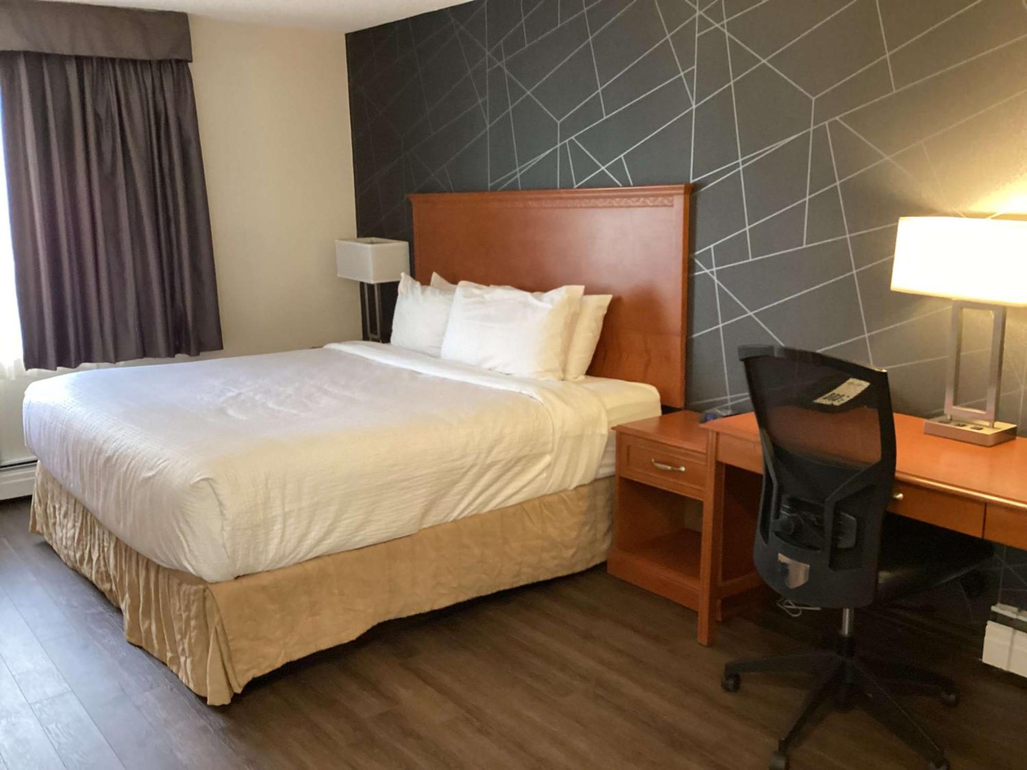 King Room Pet Friendly