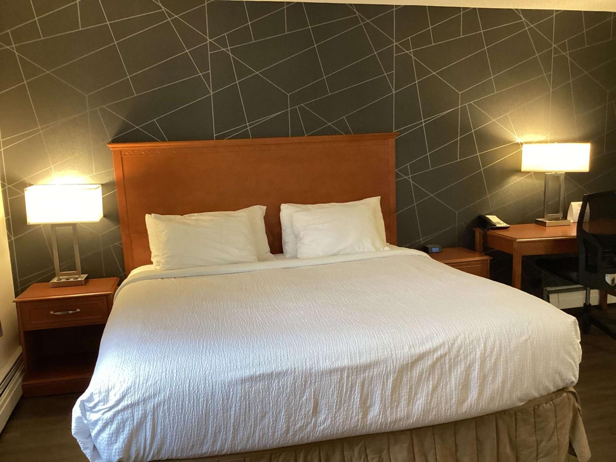King Room Pet Friendly