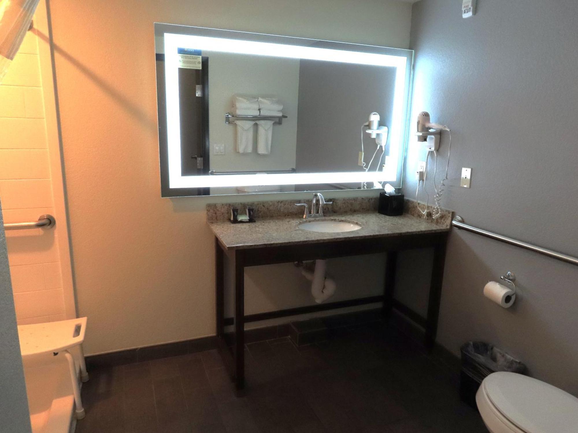 King Suite Roll Shower Accessible or Non-Smoking