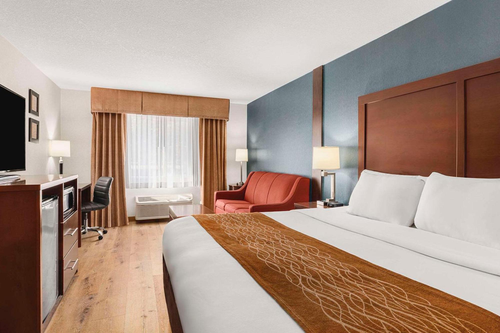 King Suite with Sofa Bed