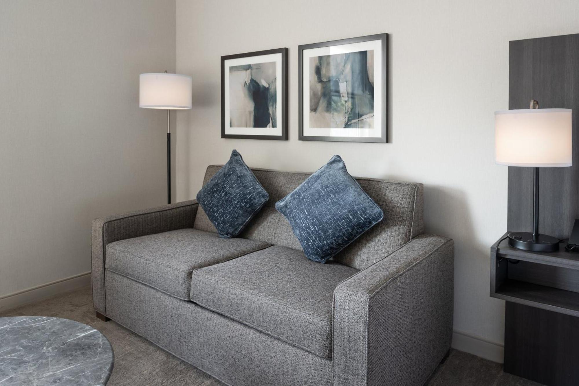 Standard King Room Sofa Bed,1654277971:JPEG