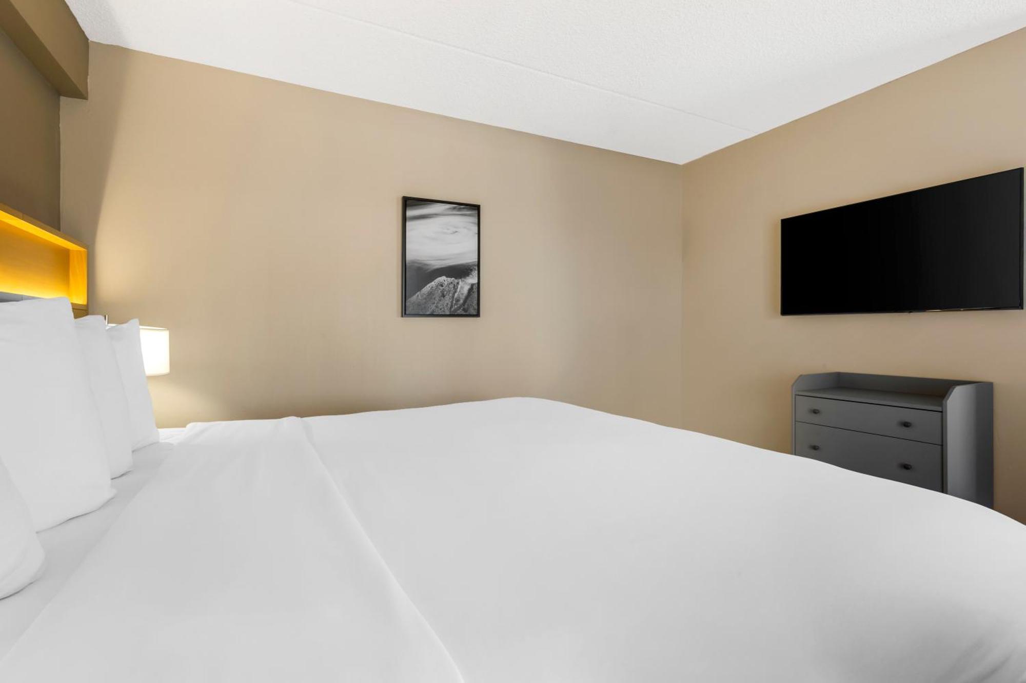 King Studio Suite Non Smoking