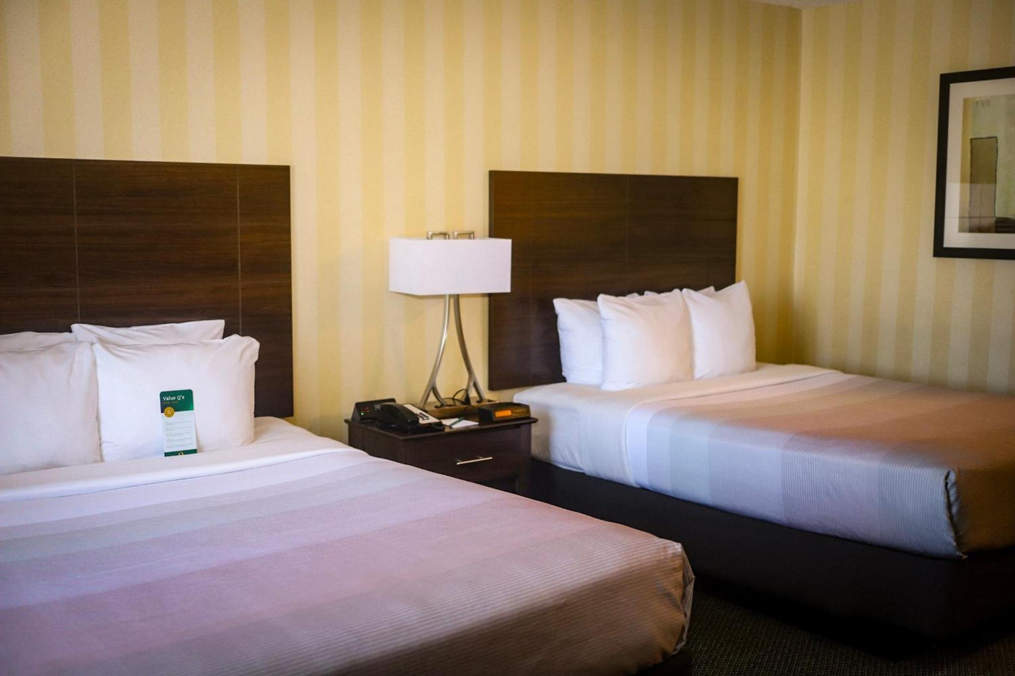 Queen Room Two Queen Beds Non-Smoking