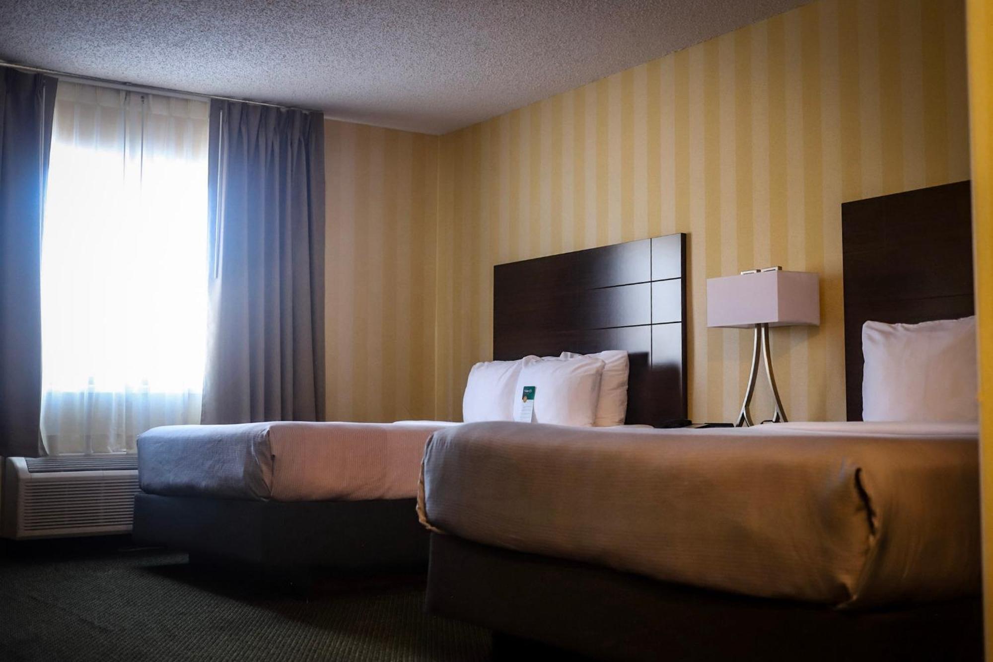 Queen Room Two Queen Beds Non-Smoking