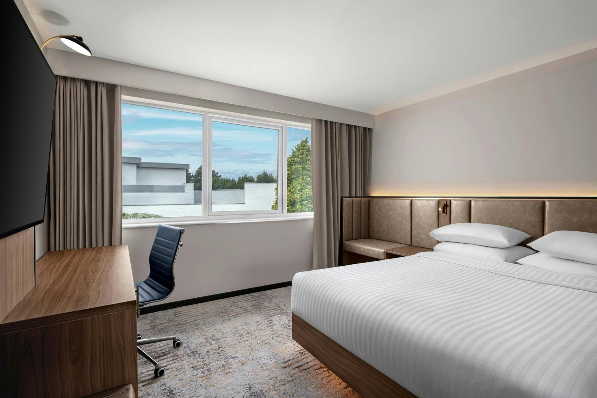 Standard King Room