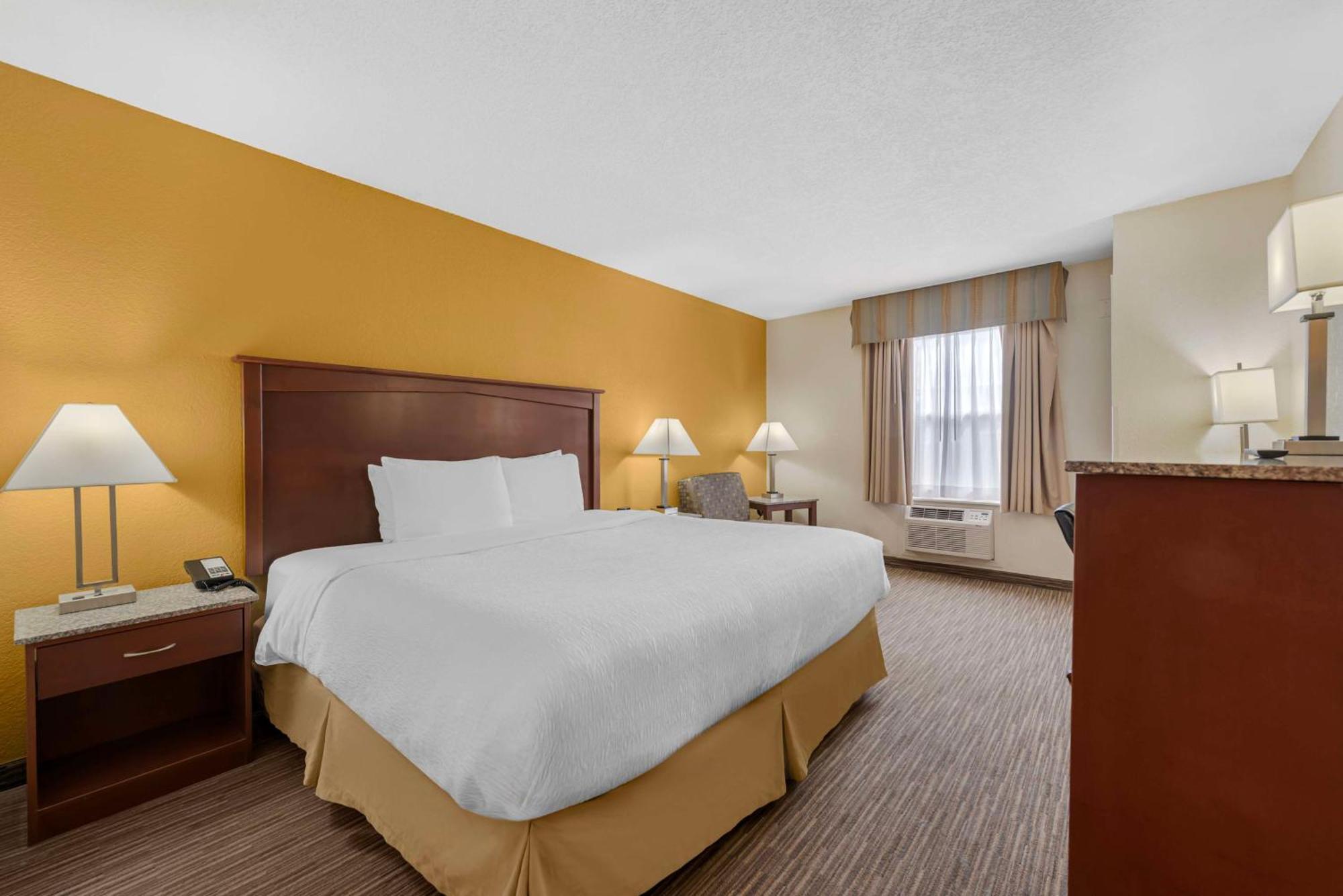 King Room Pet Friendly