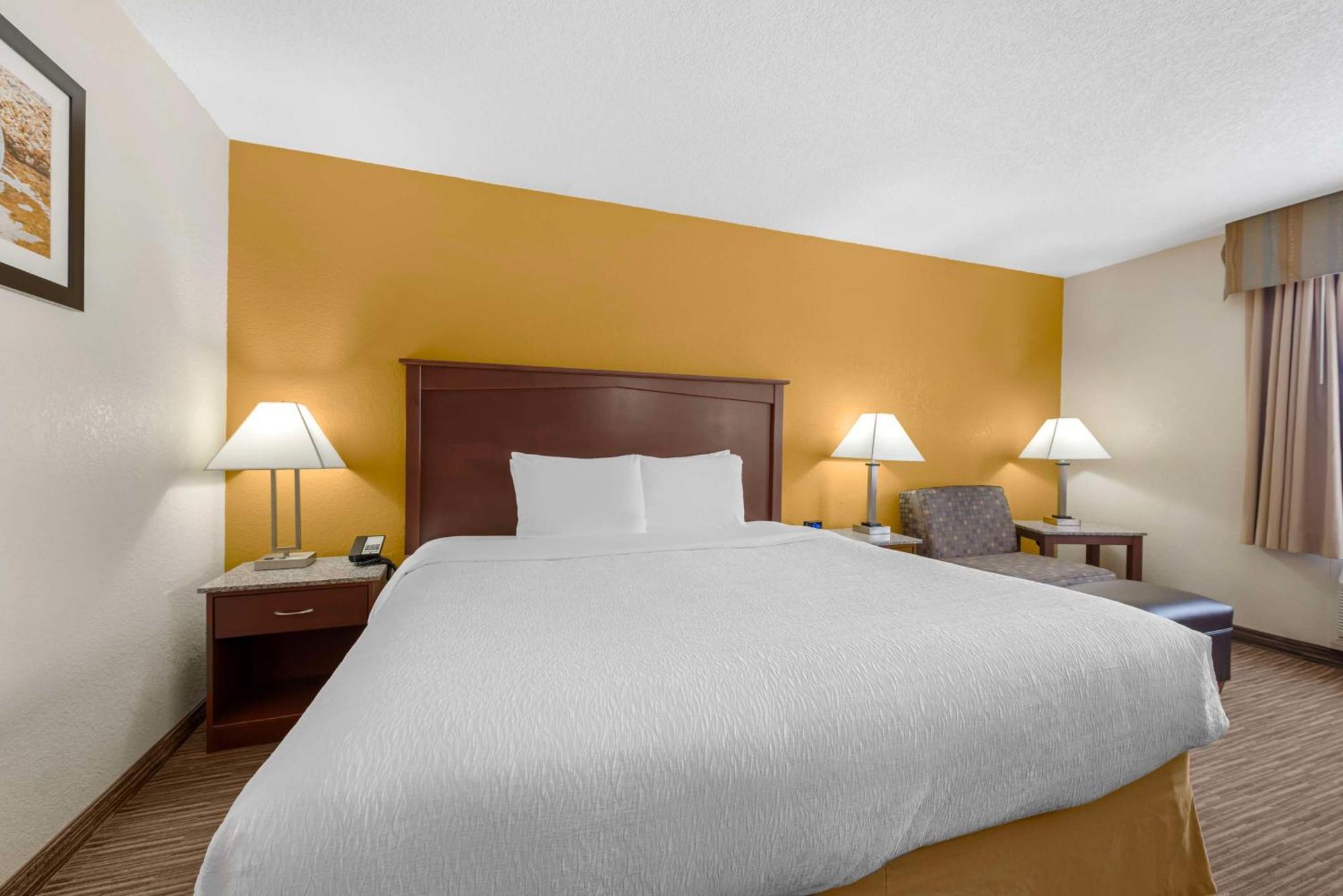 King Room Pet Friendly