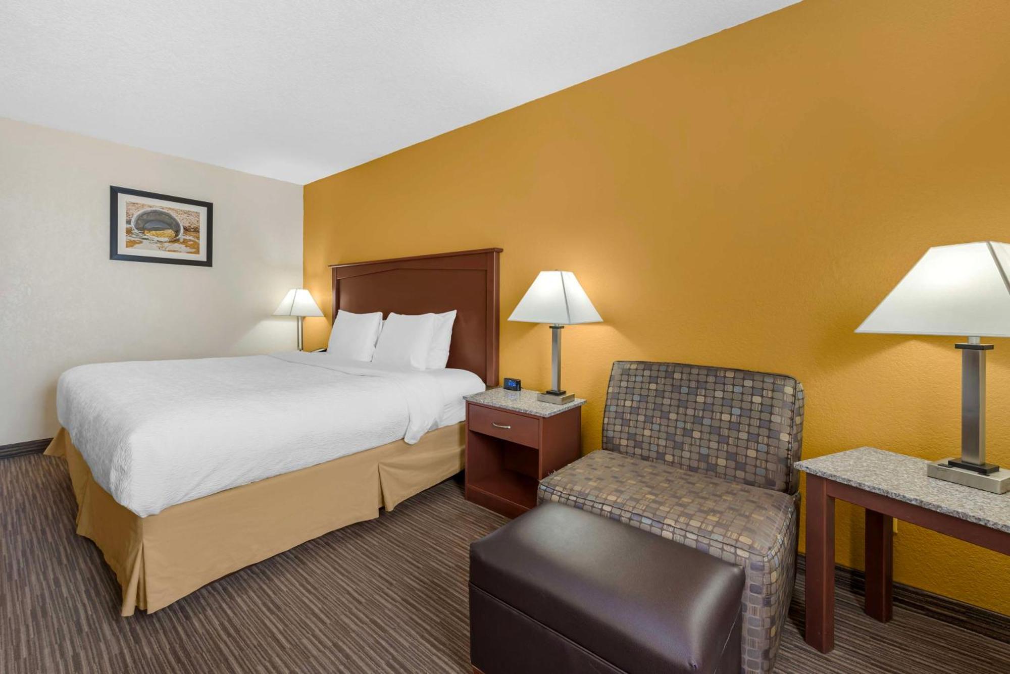 King Room Pet Friendly