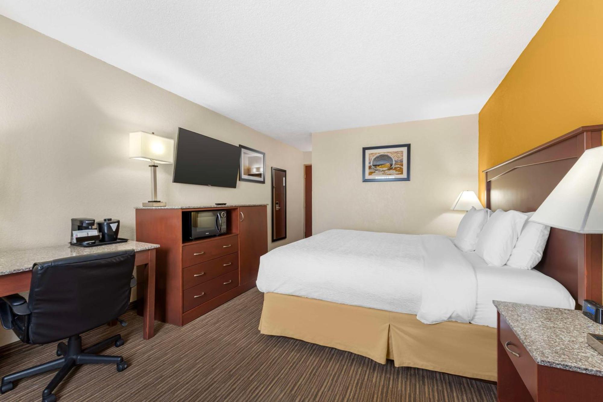 King Room Pet Friendly