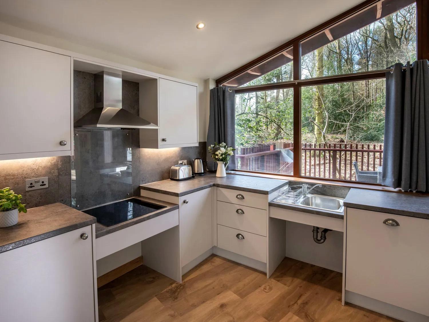 Silver Birch Wheelchair-adapted Cabin (pet-friendly)