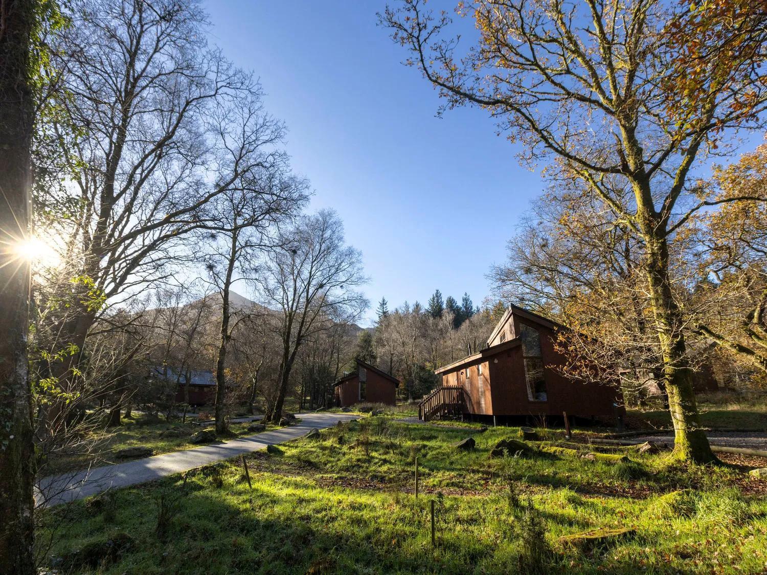 Silver Birch Cabin (pet-friendly)