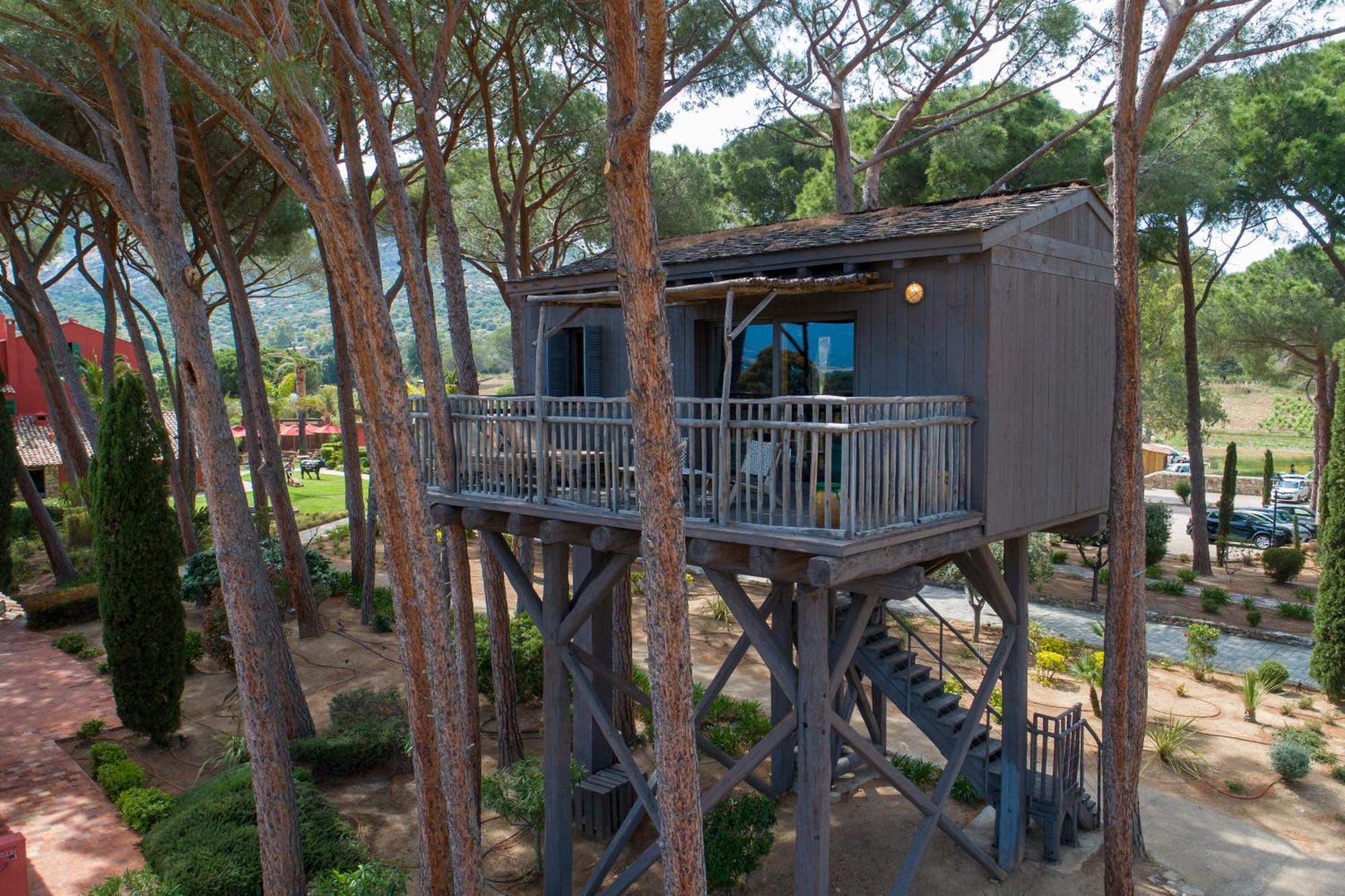 TREE HOUSE
