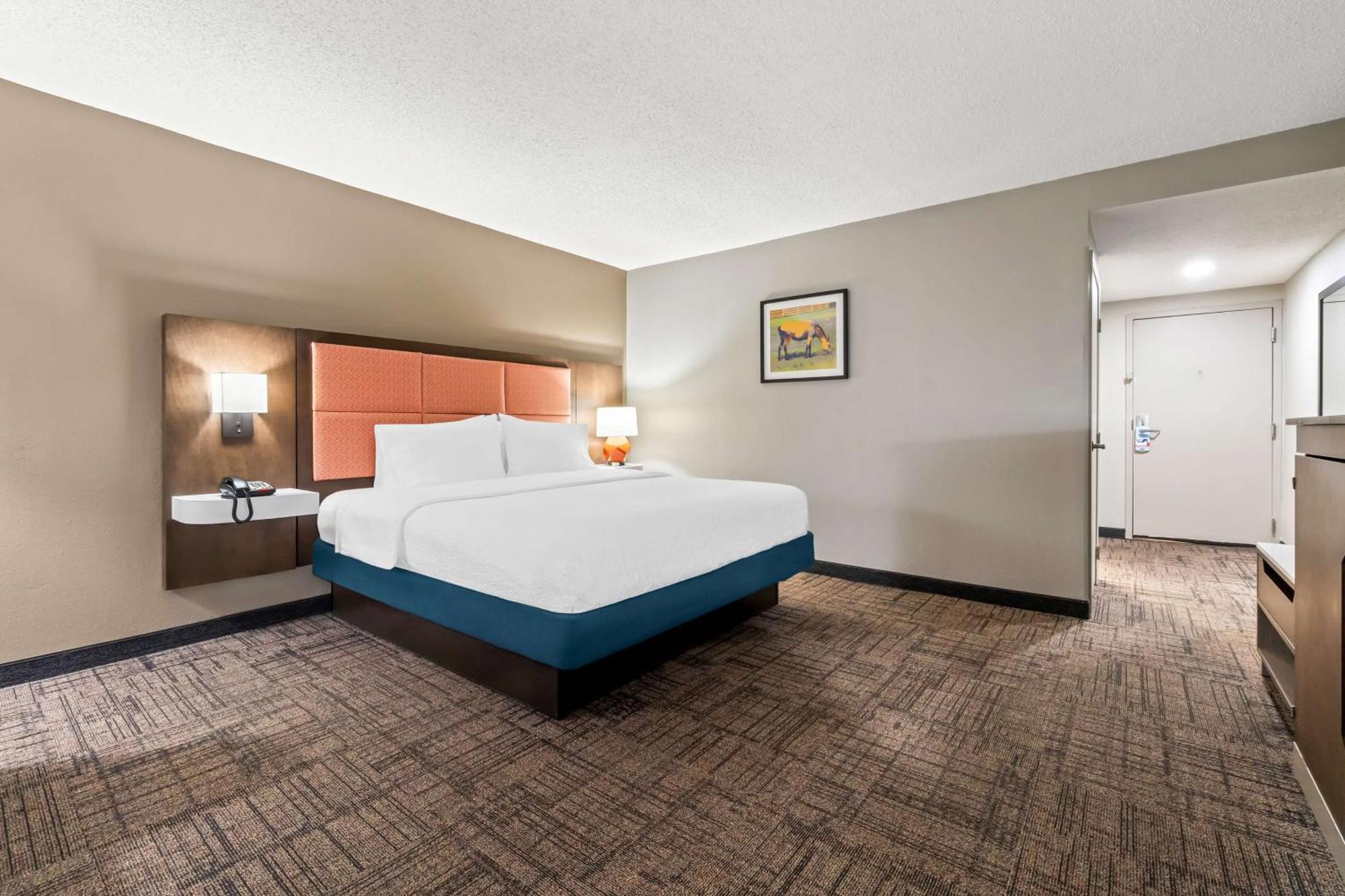 Standard King Room