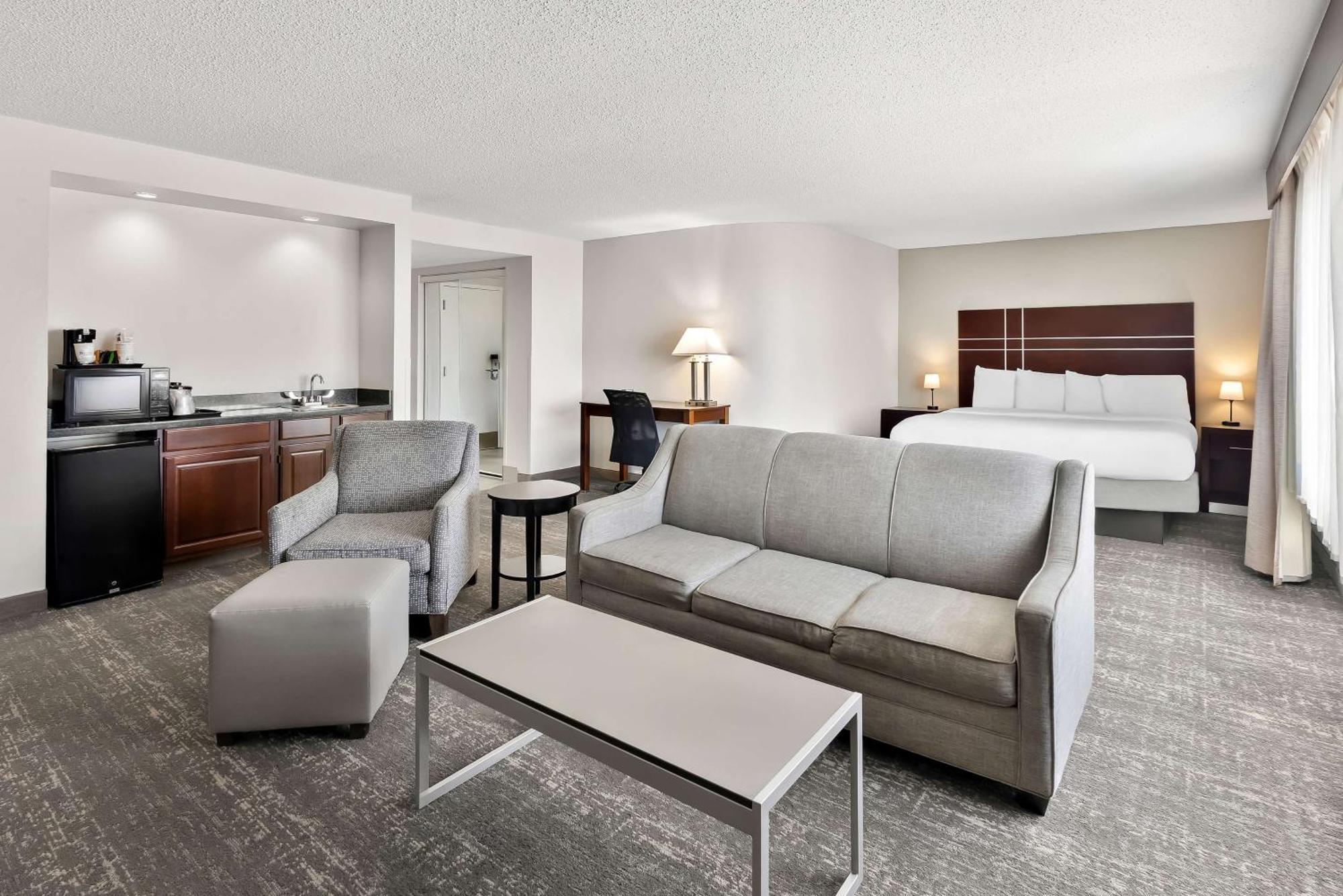 King Suite Sofa Bed Wet Bar