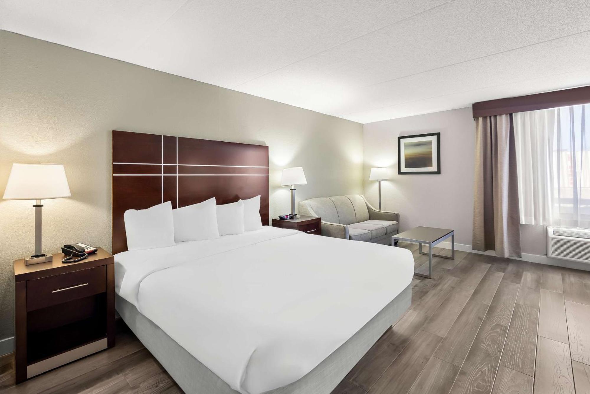 King Room Sofa Bed Pet Friendly or First FLoor
