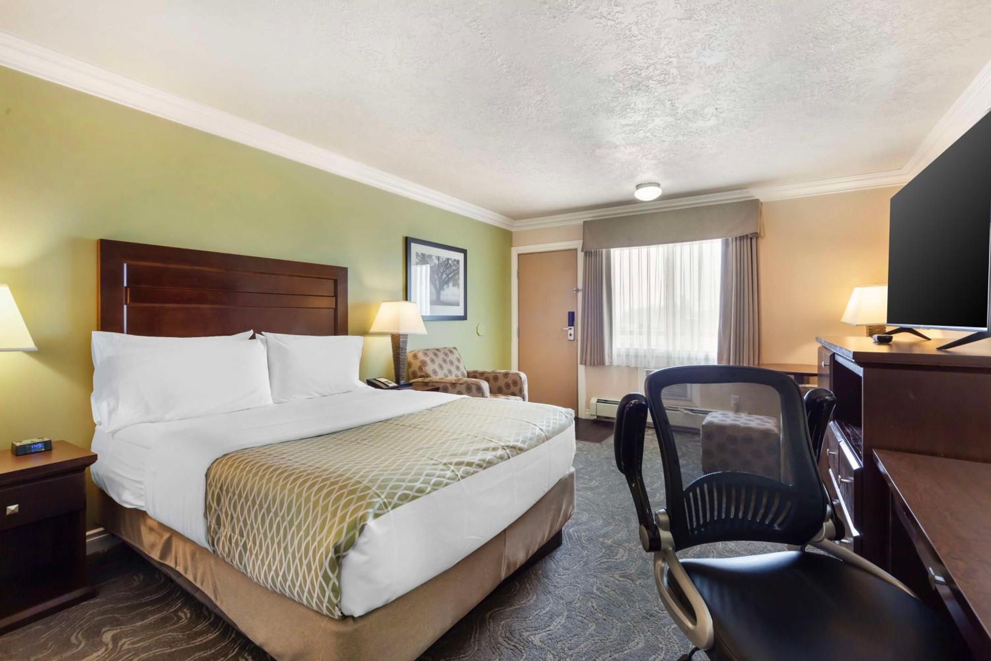 Queen Room Pet Friendly or Non-Smoking or Exterior Access