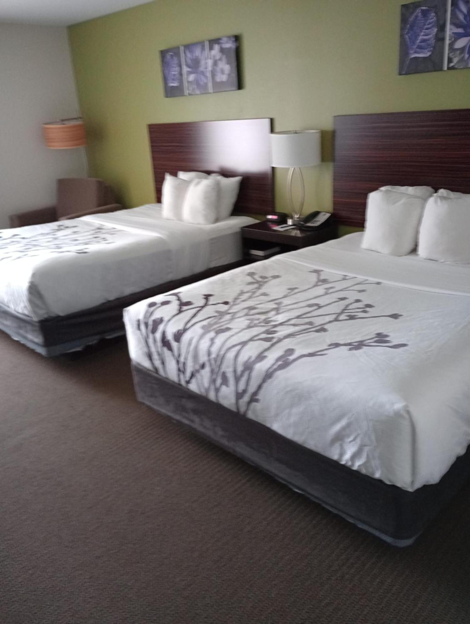 Queen Room Two Queen Beds Non-Smoking