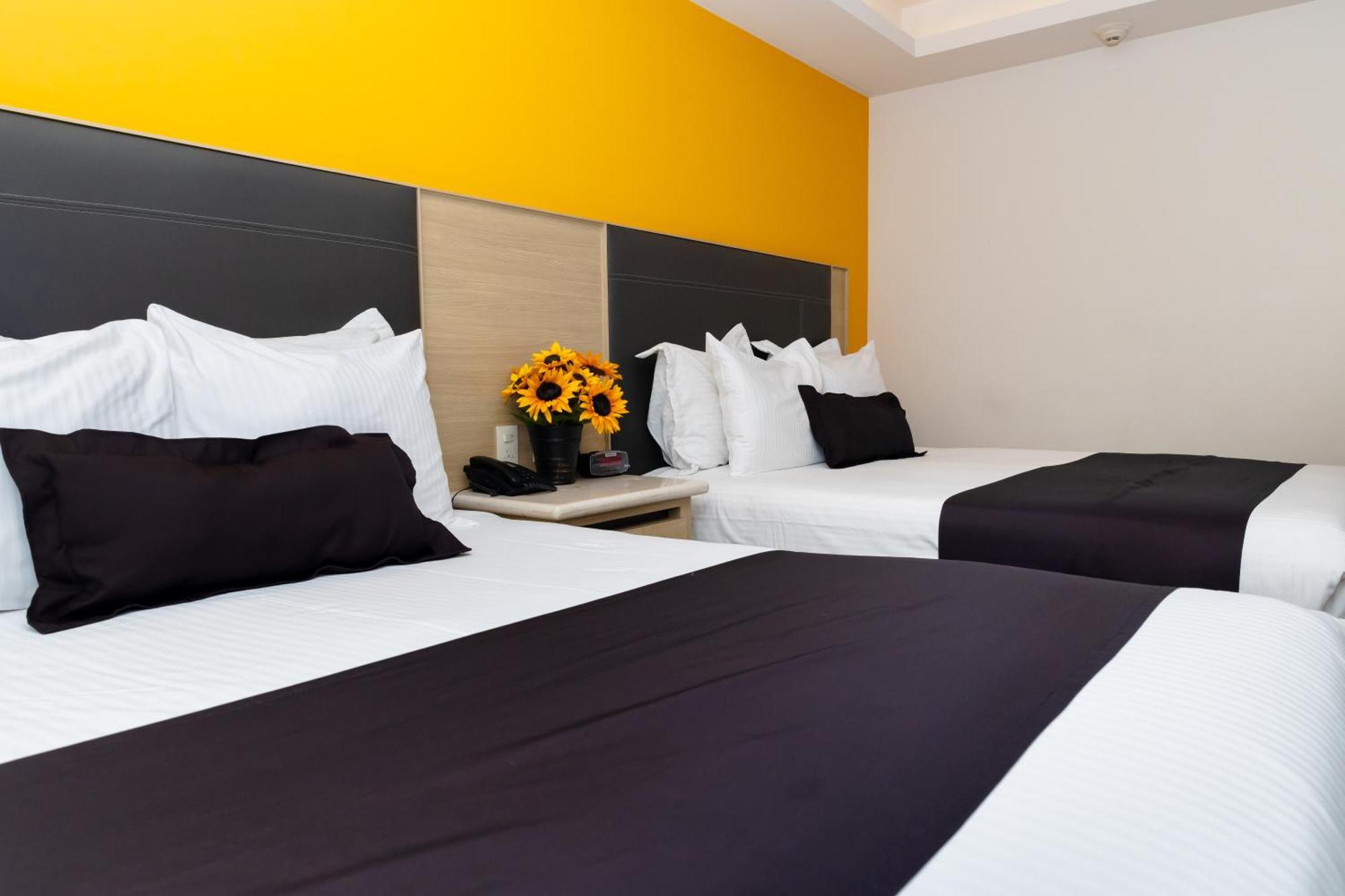 Executive Double Room Two Double Beds