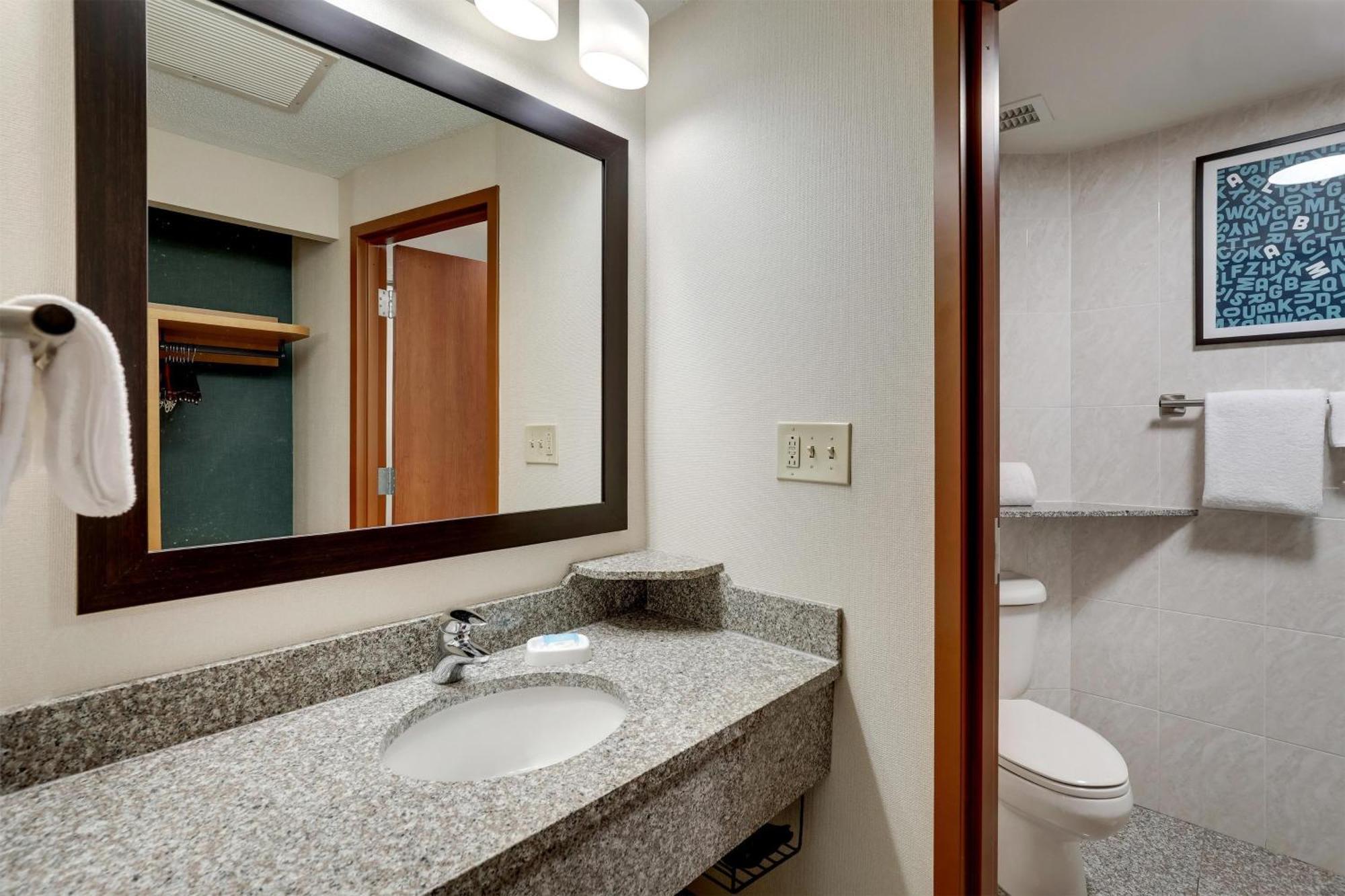 King Suite with Sofa Bed