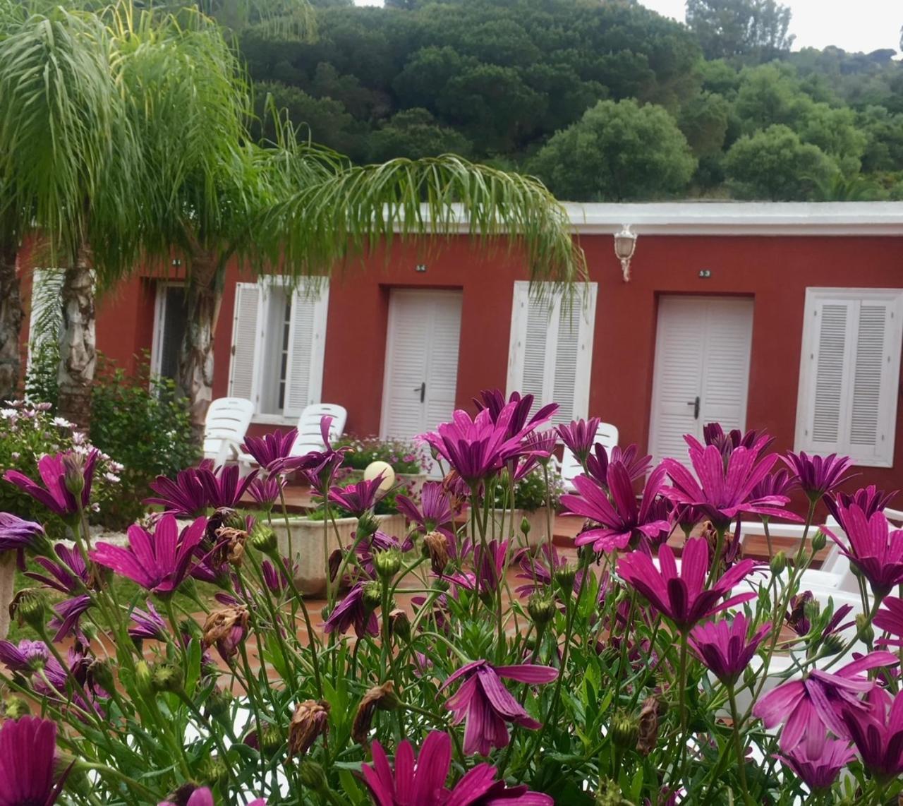 Double or Twin Room Garden View