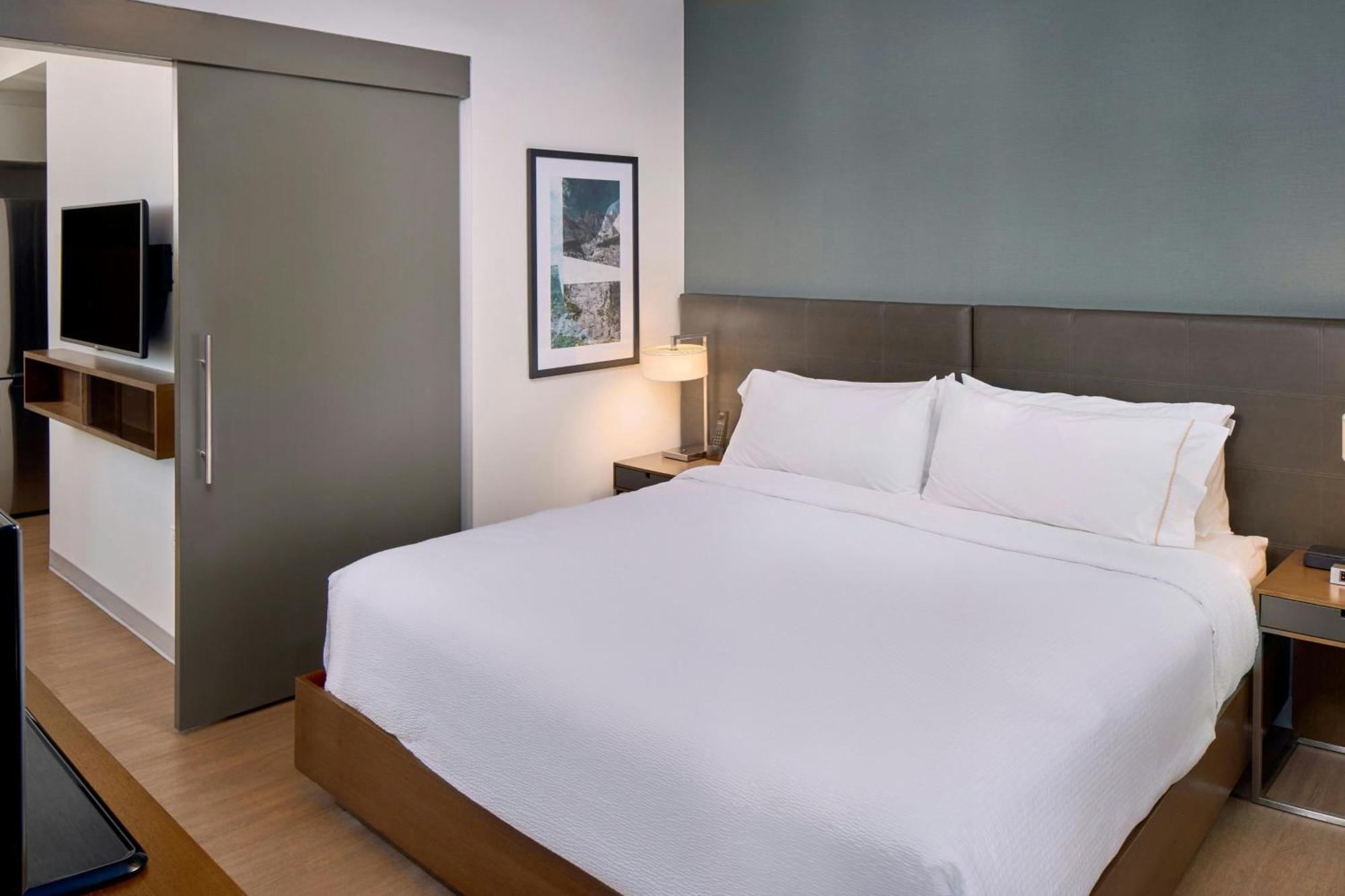 1 Bedroom Suite 1 King Sofa bed